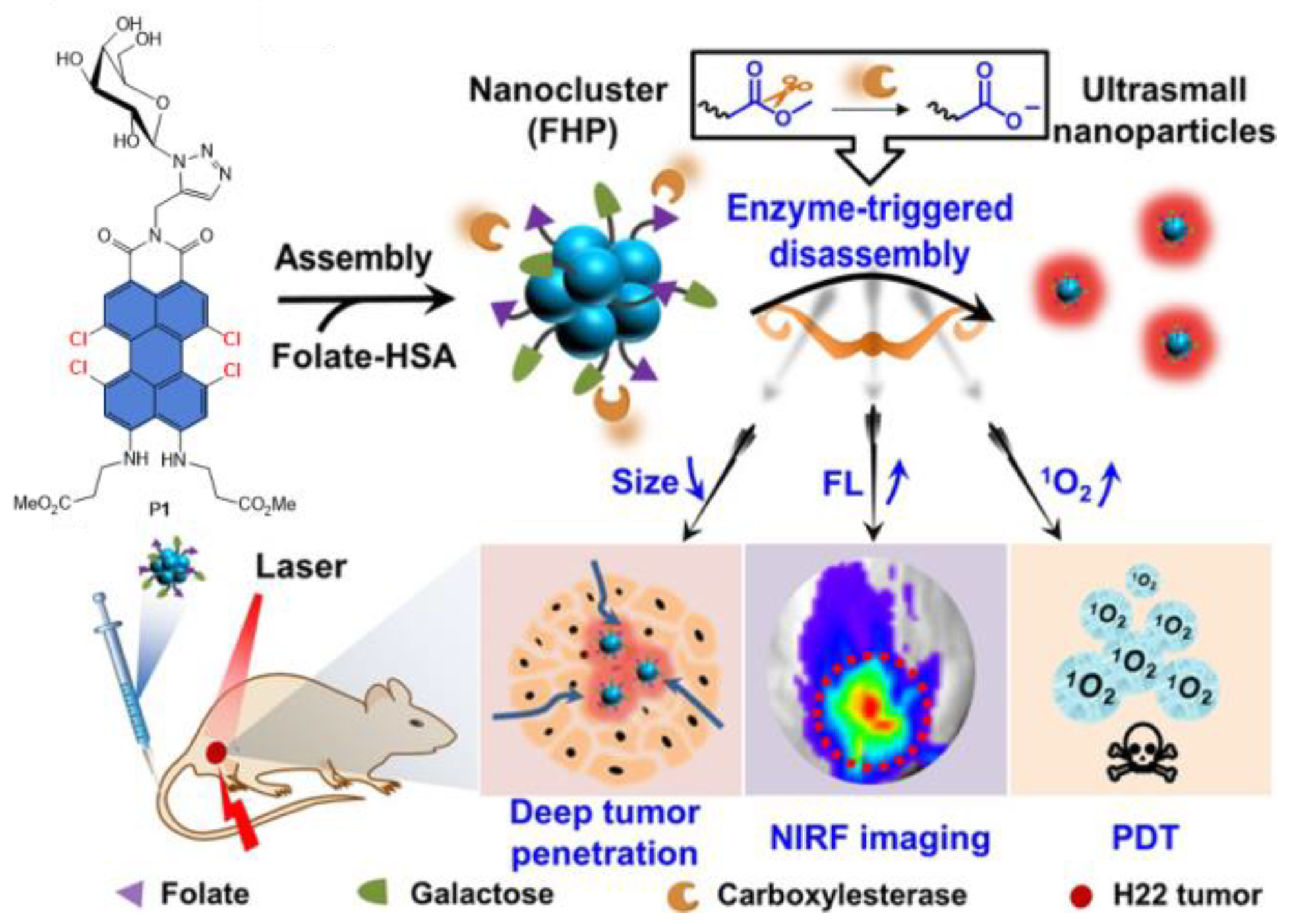 Ijms 24 06308 g035b Ijms 24 06308 g035b