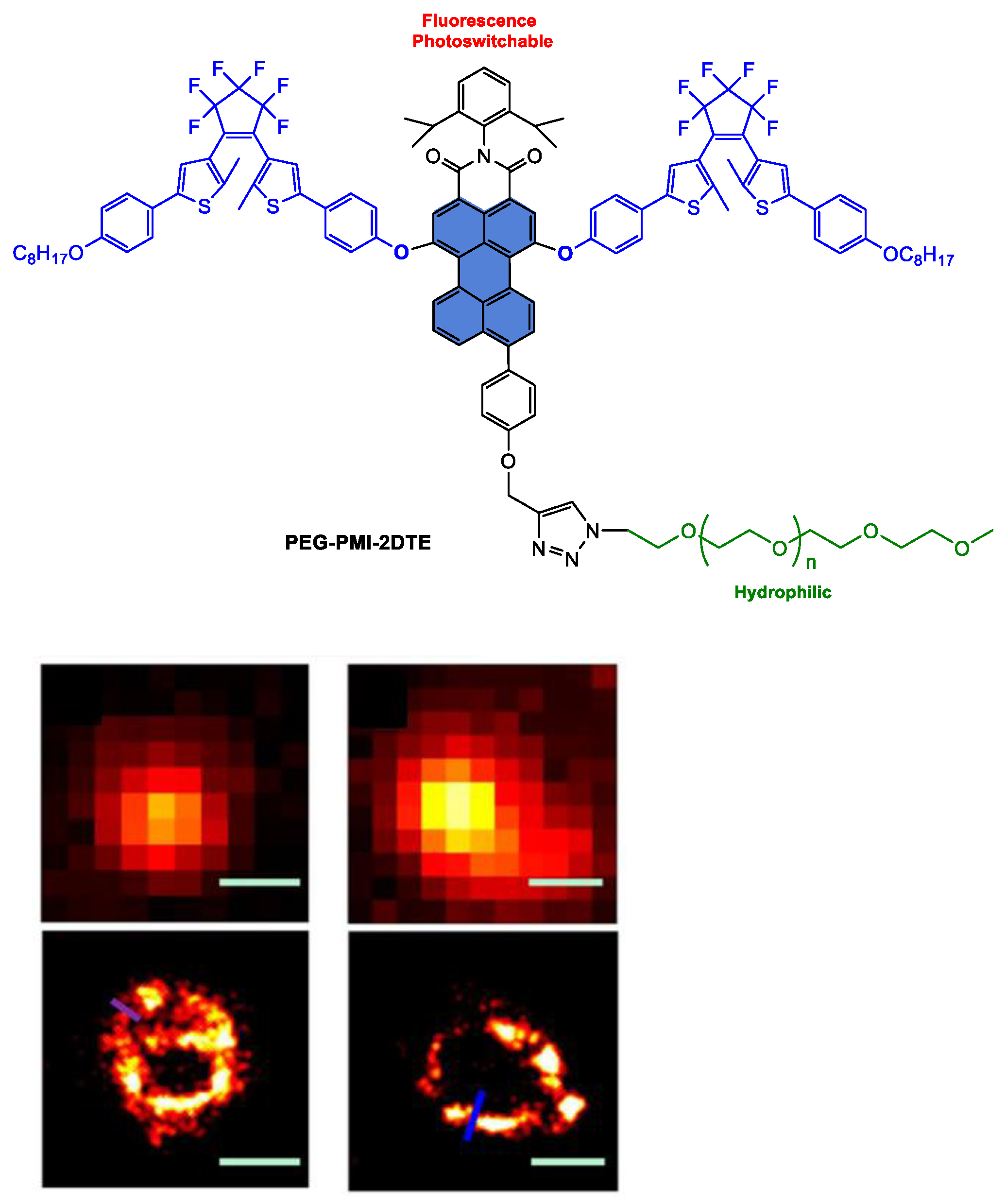 Ijms 24 06308 g036 Ijms 24 06308 g036