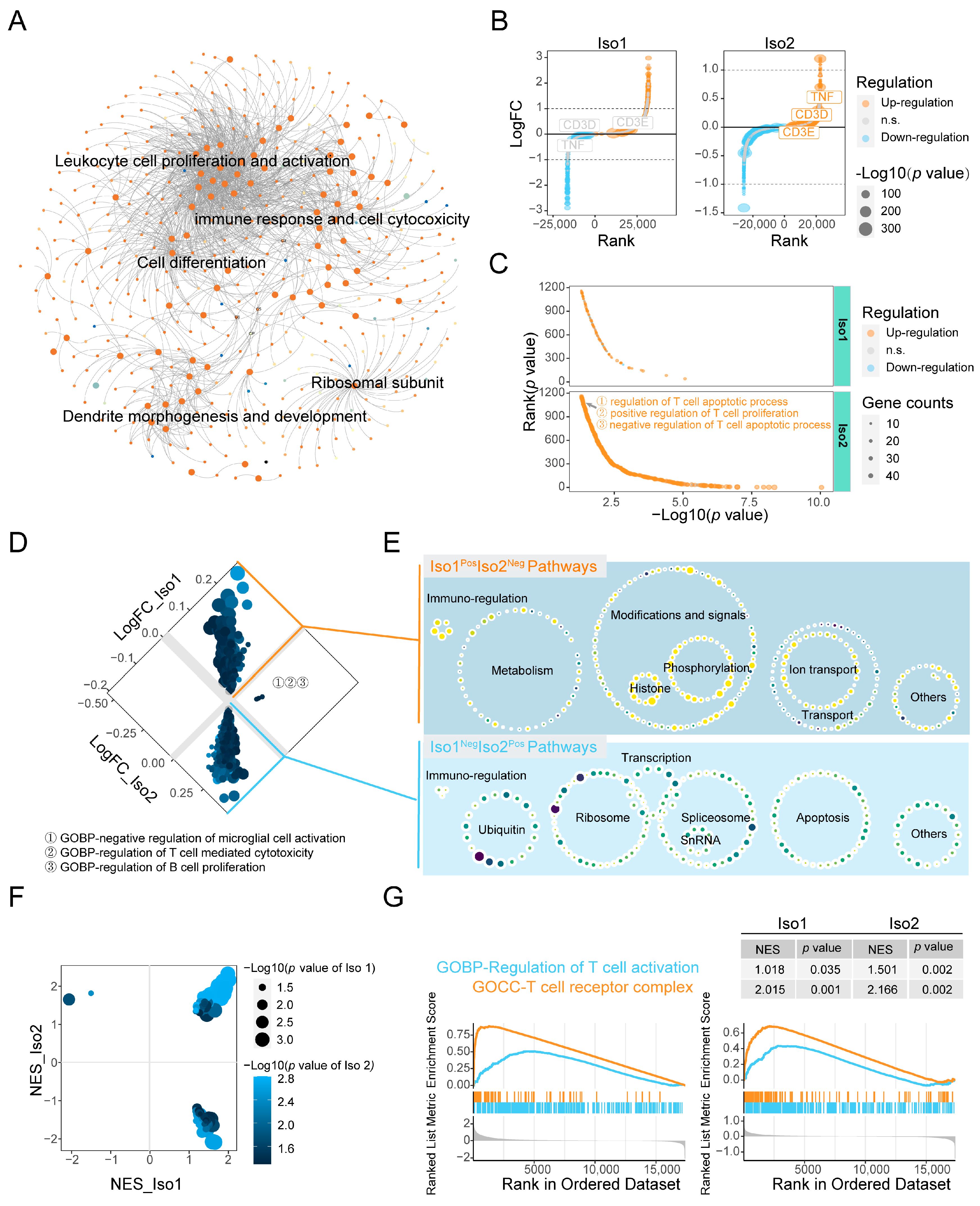 Ijms 24 06314 g003 Ijms 24 06314 g003