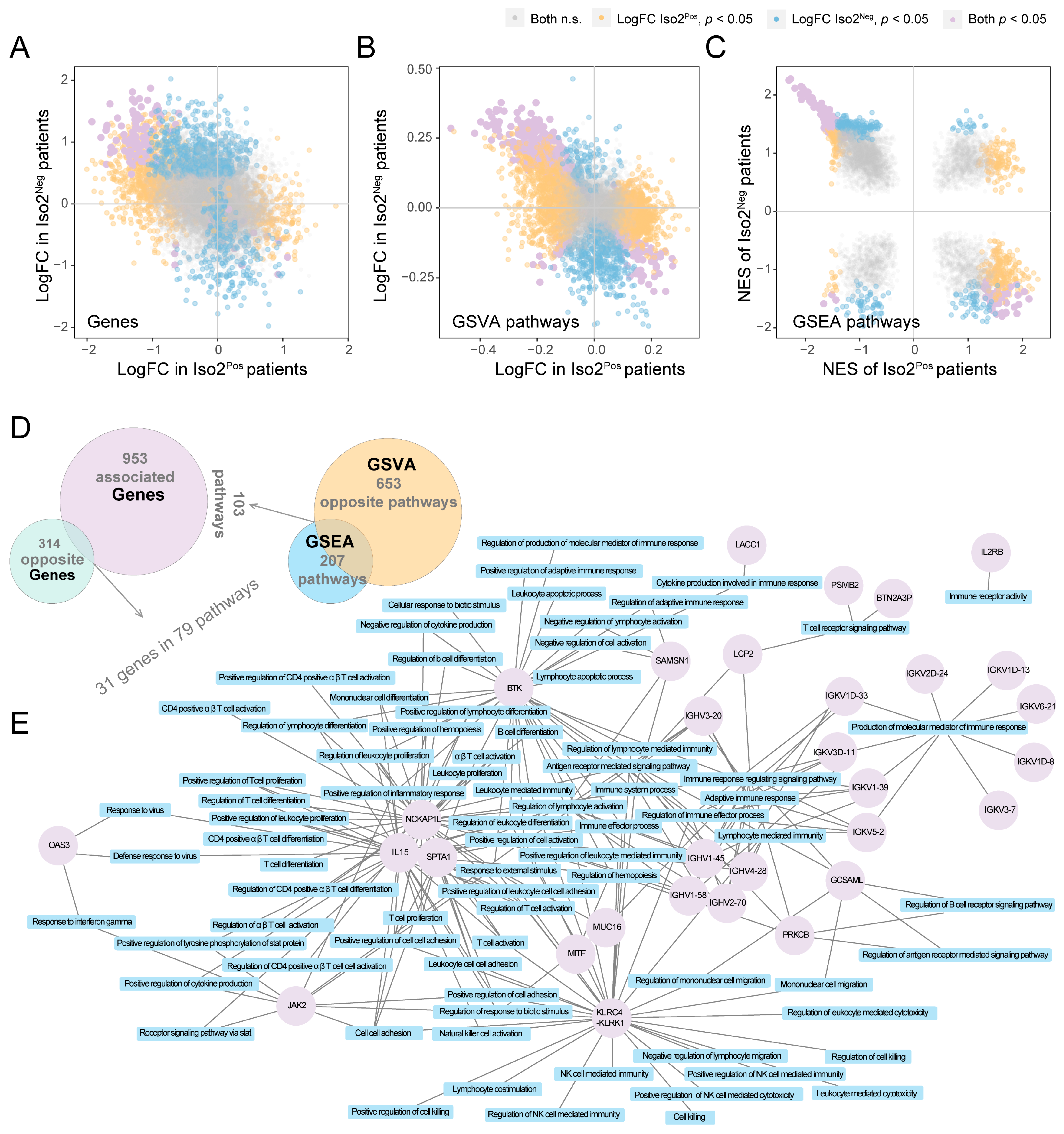 Ijms 24 06314 g004 Ijms 24 06314 g004