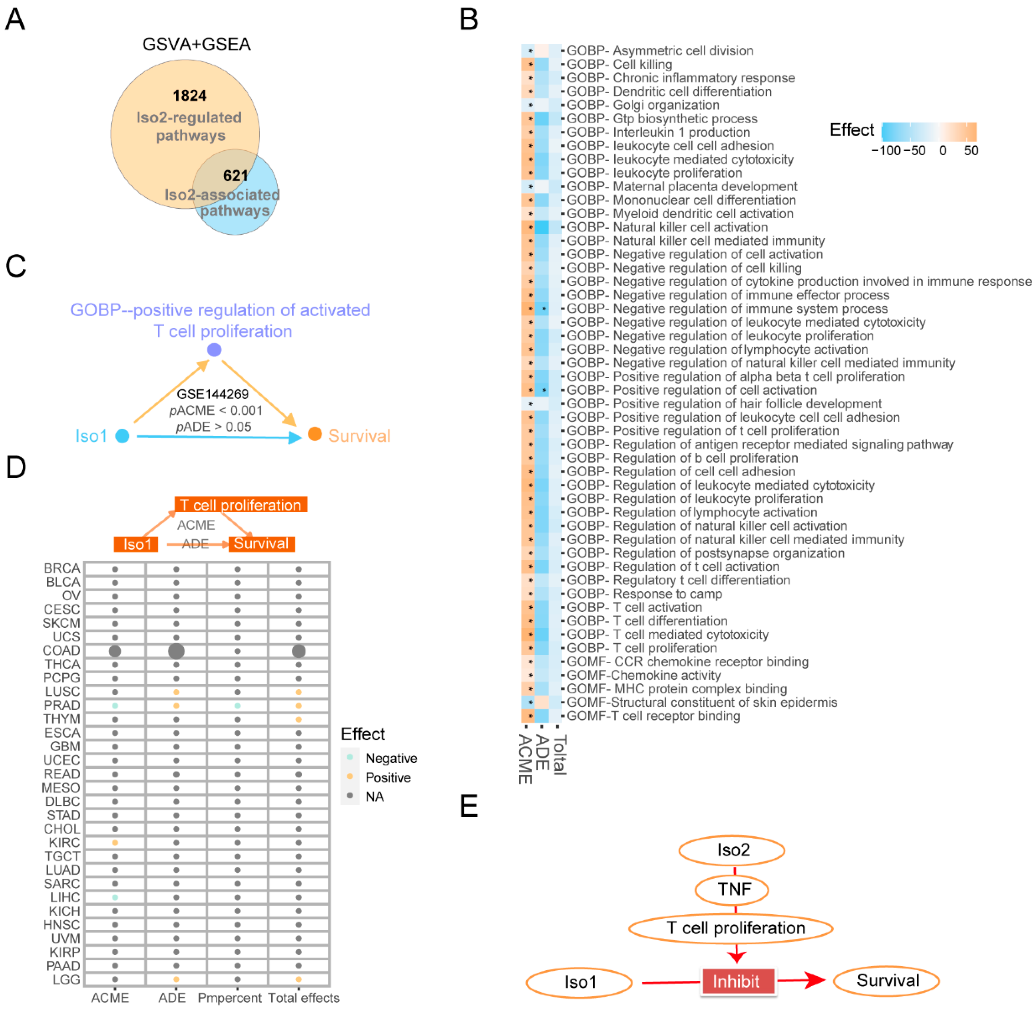 Ijms 24 06314 g006 Ijms 24 06314 g006