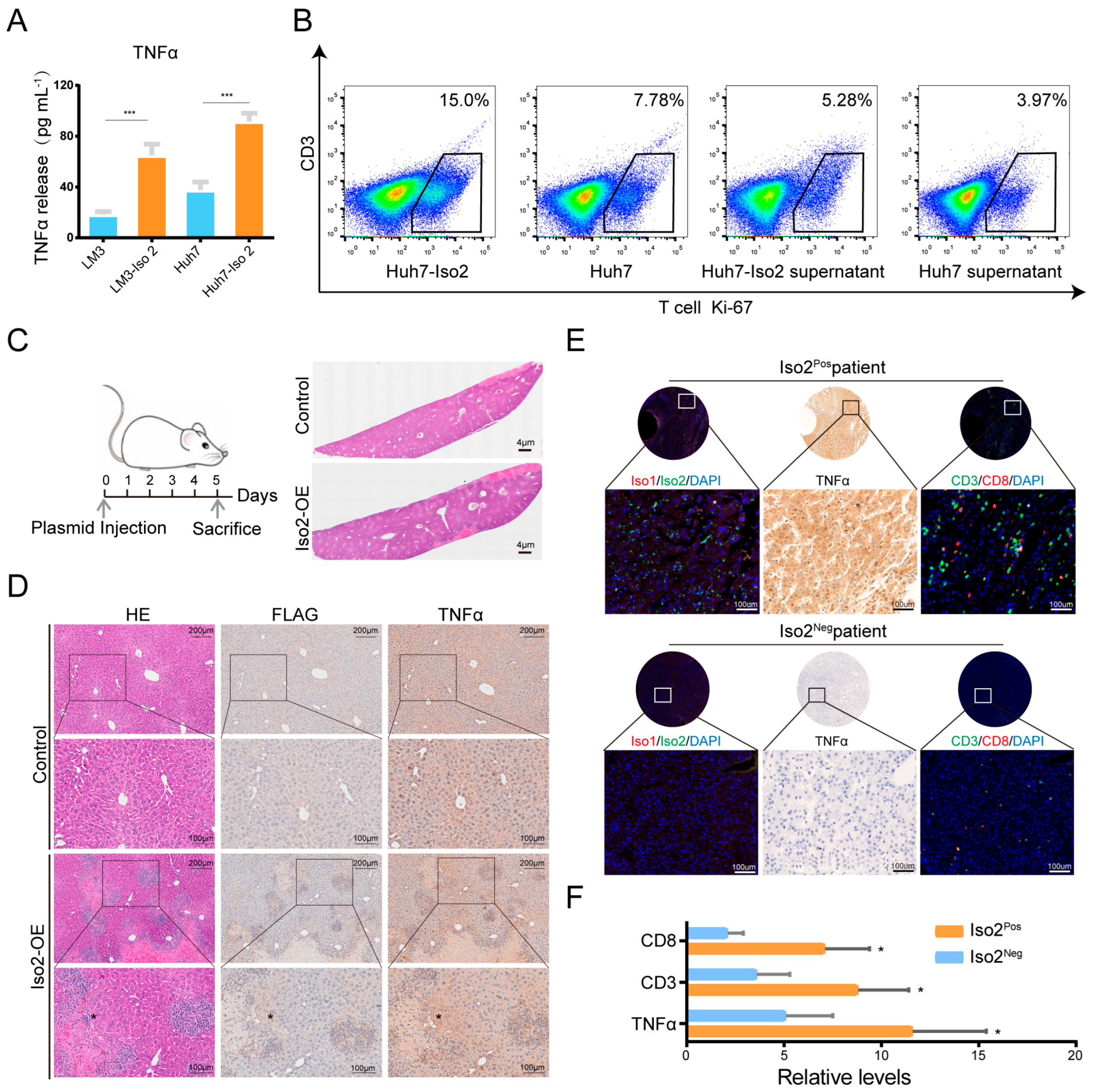 Ijms 24 06314 g007 Ijms 24 06314 g007
