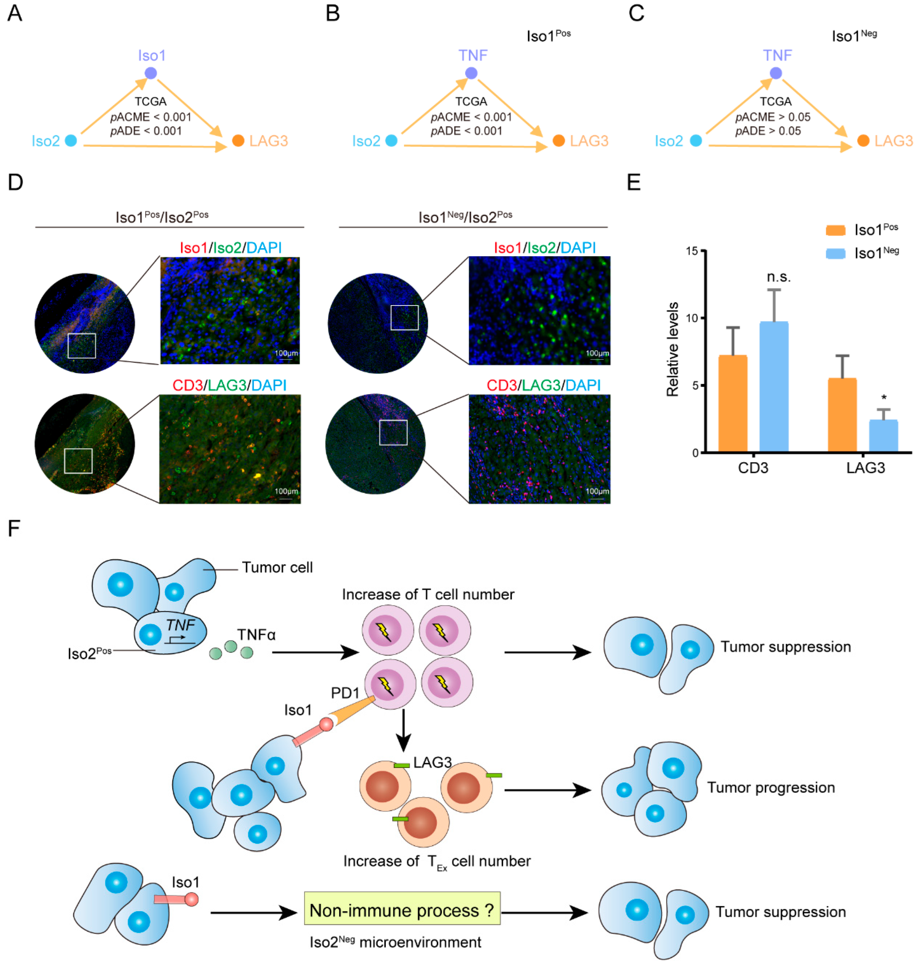 Ijms 24 06314 g008 Ijms 24 06314 g008