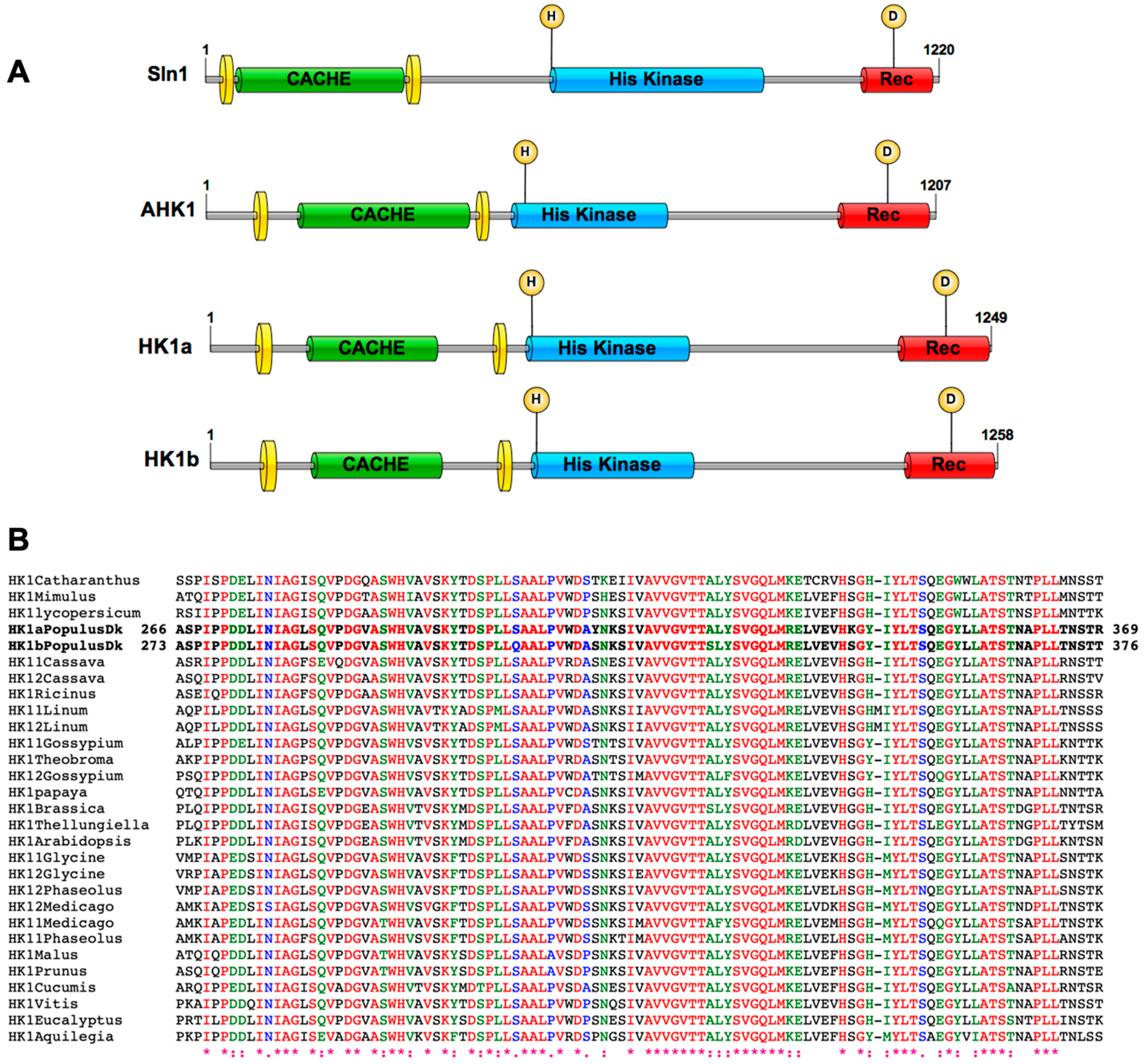 Ijms 24 06318 g001 Ijms 24 06318 g001