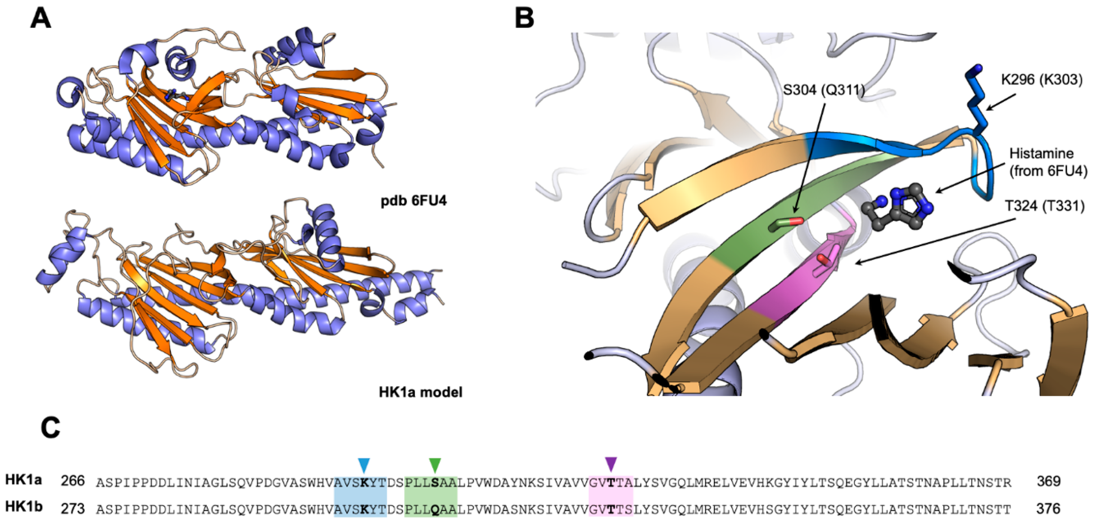 Ijms 24 06318 g002 Ijms 24 06318 g002