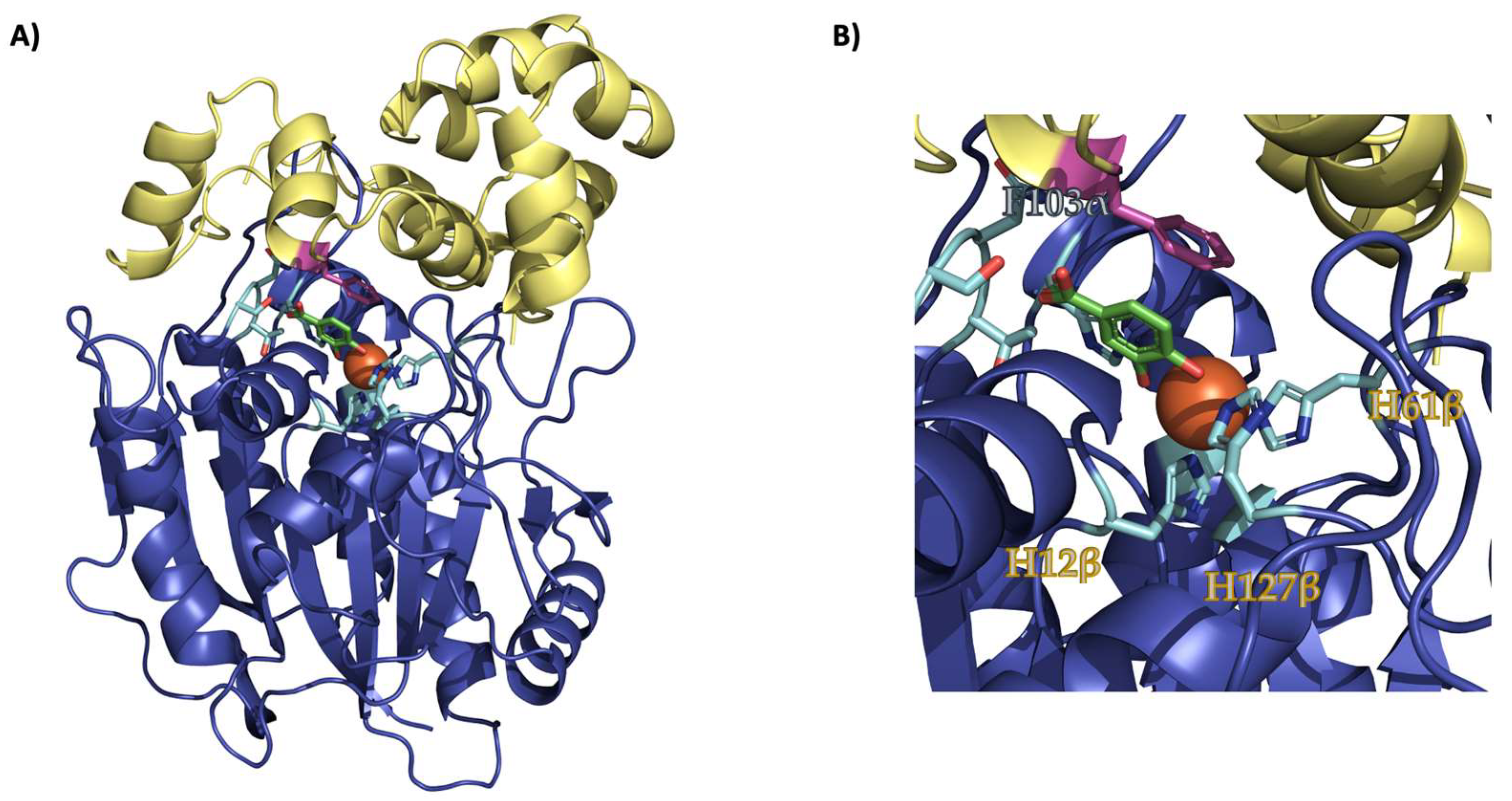 Ijms 24 06319 g002 Ijms 24 06319 g002