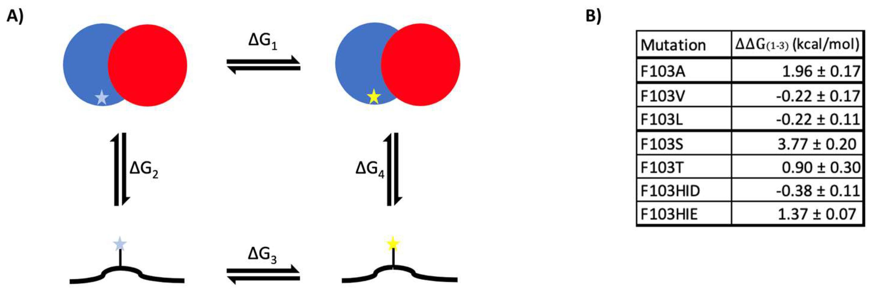 Ijms 24 06319 g004 Ijms 24 06319 g004