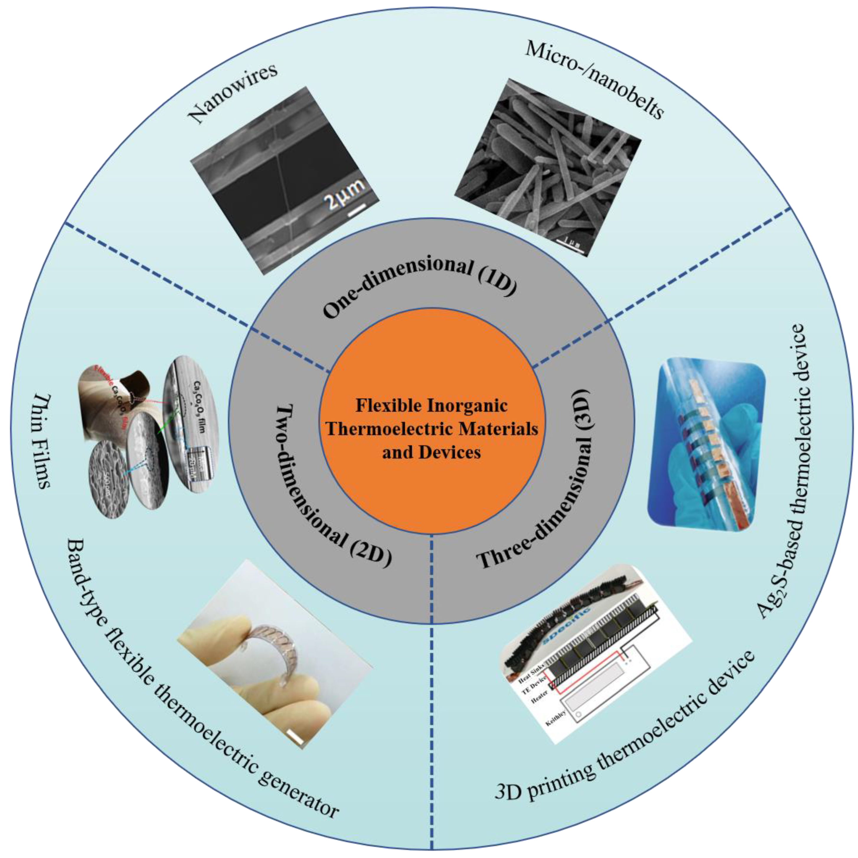 Ijms 24 06325 g006 Ijms 24 06325 g006