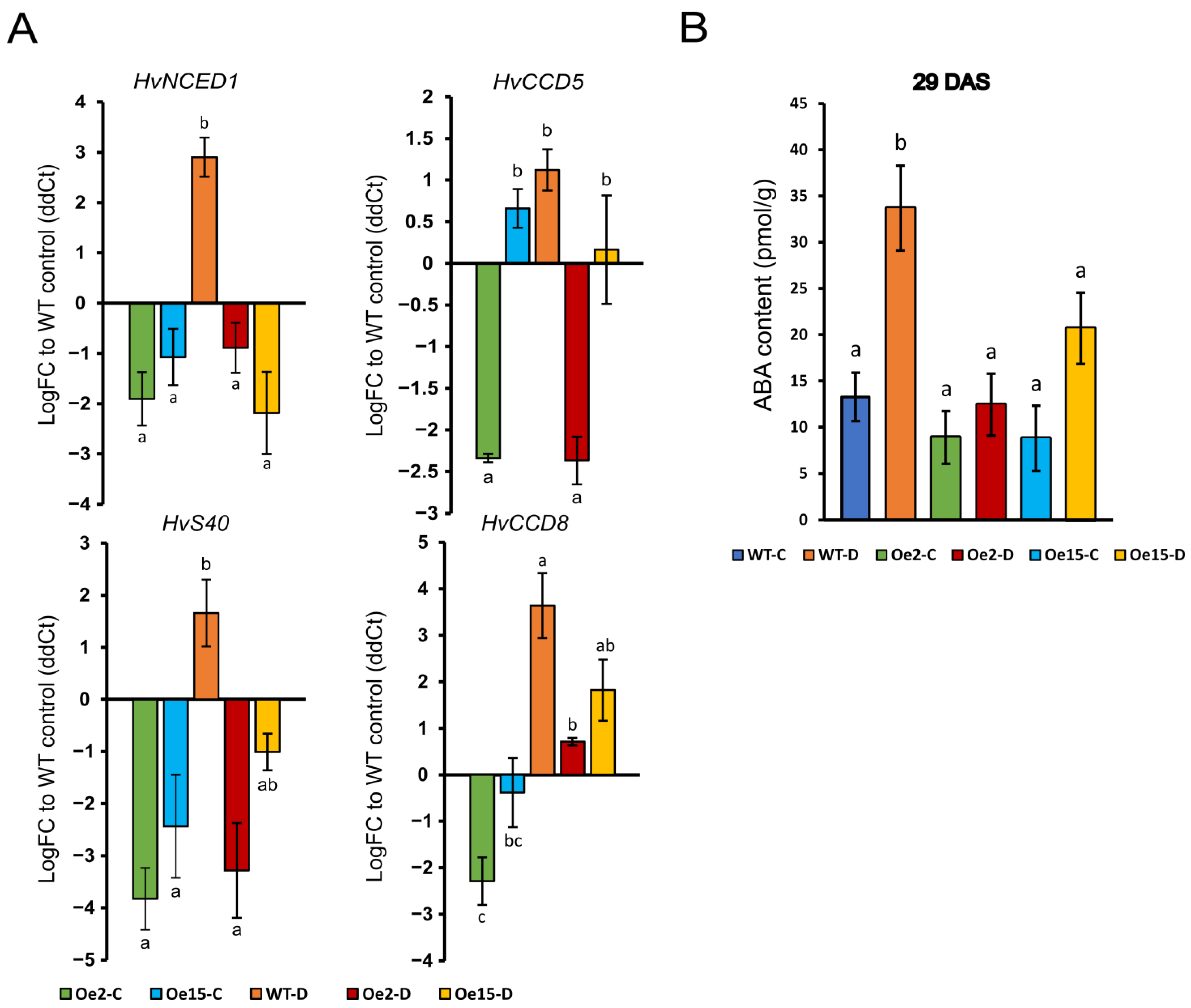 Ijms 24 06326 g002 Ijms 24 06326 g002
