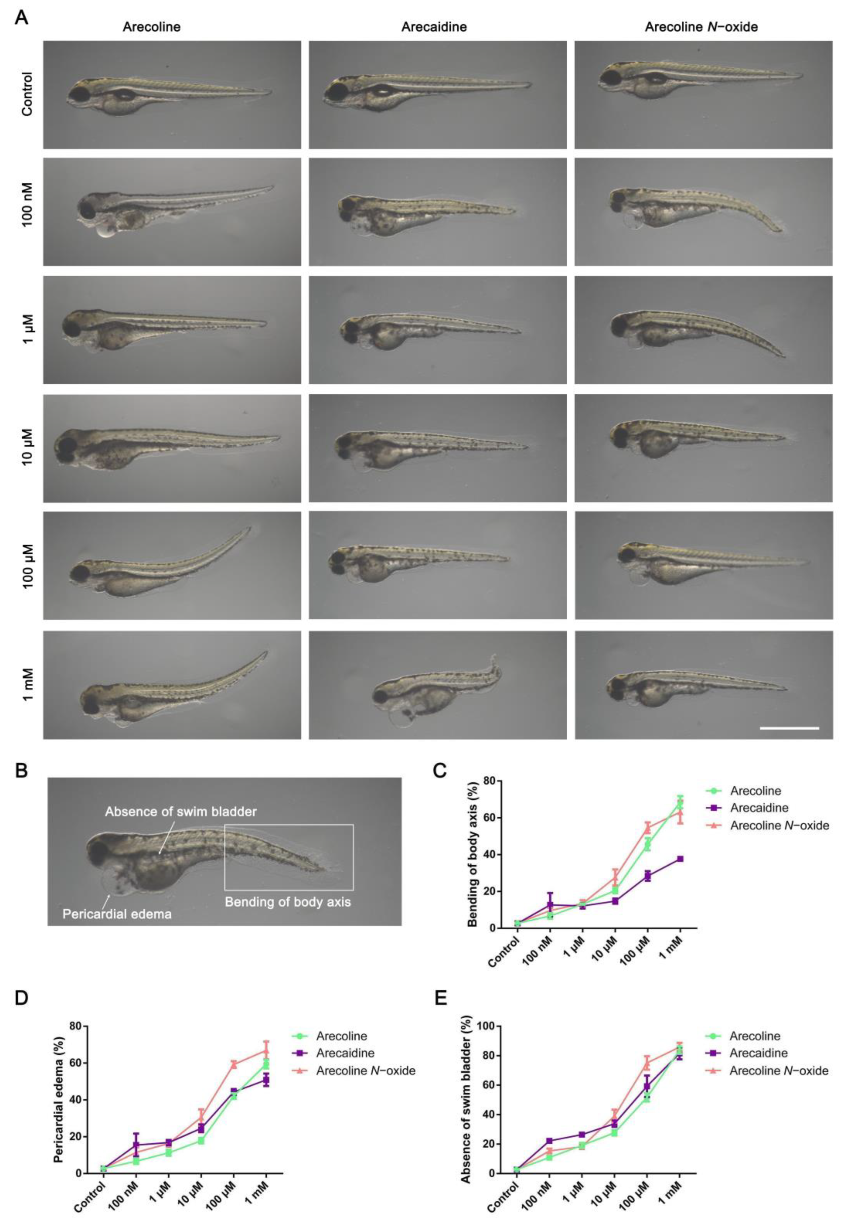 Ijms 24 06327 g002 Ijms 24 06327 g002