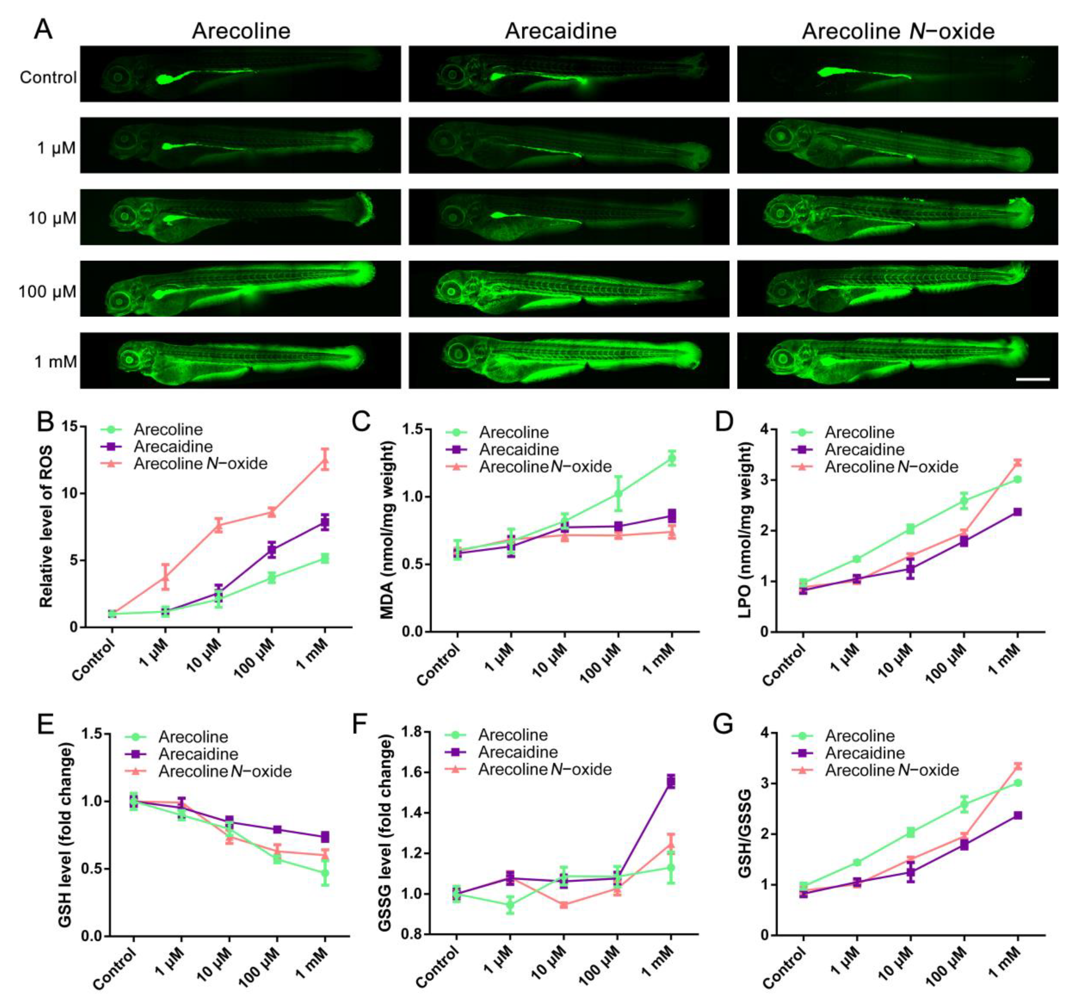 Ijms 24 06327 g003 Ijms 24 06327 g003