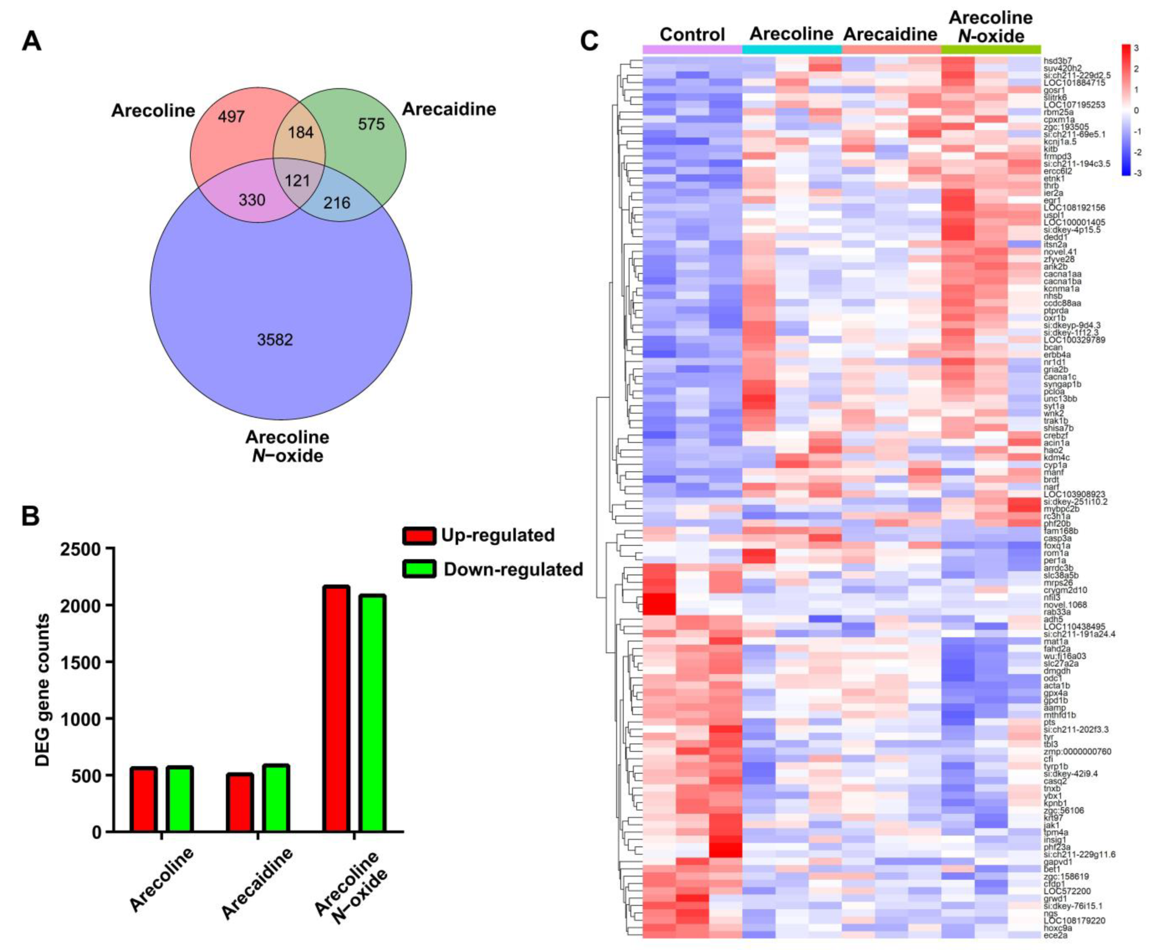 Ijms 24 06327 g005 Ijms 24 06327 g005