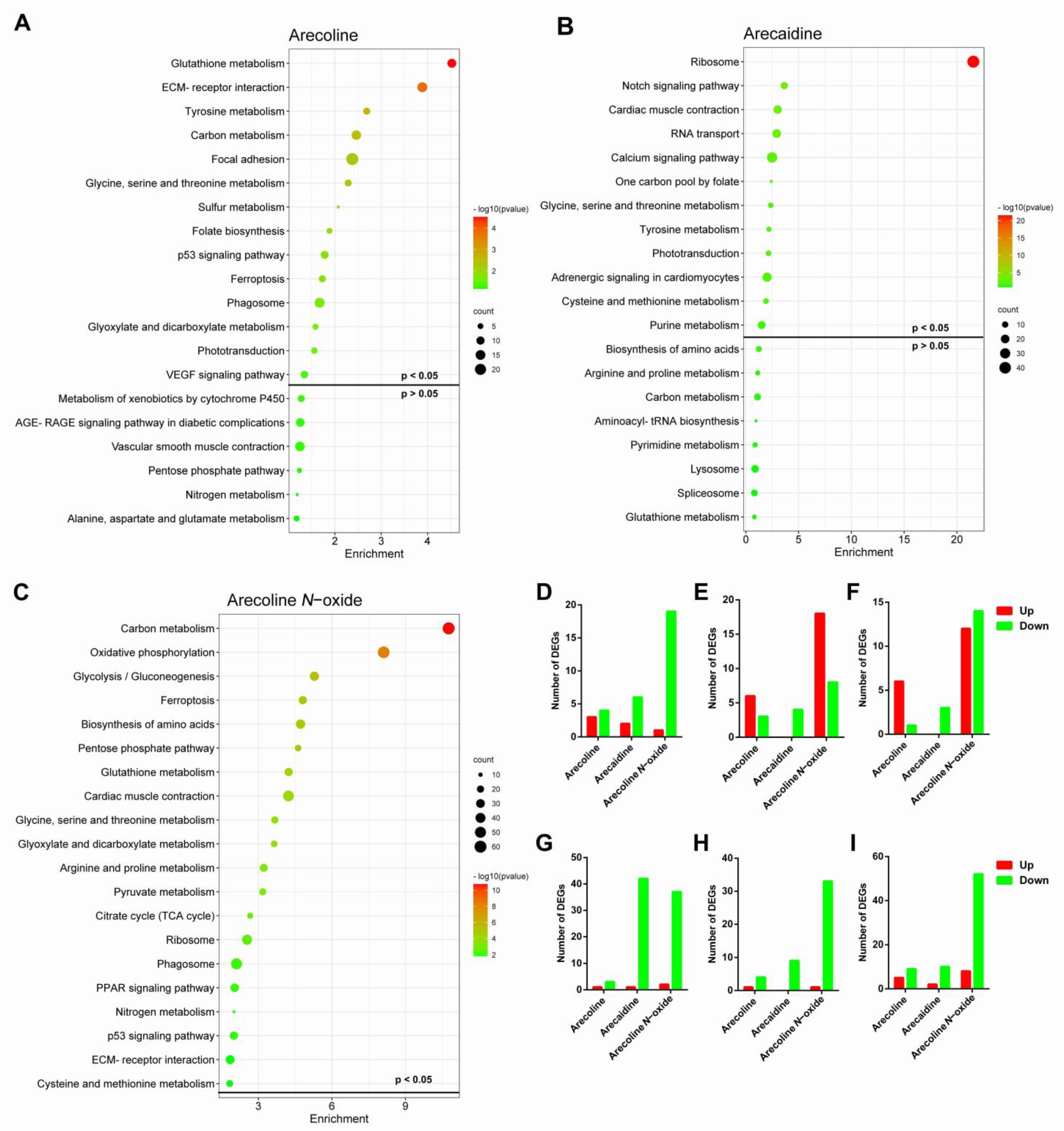 Ijms 24 06327 g006 Ijms 24 06327 g006