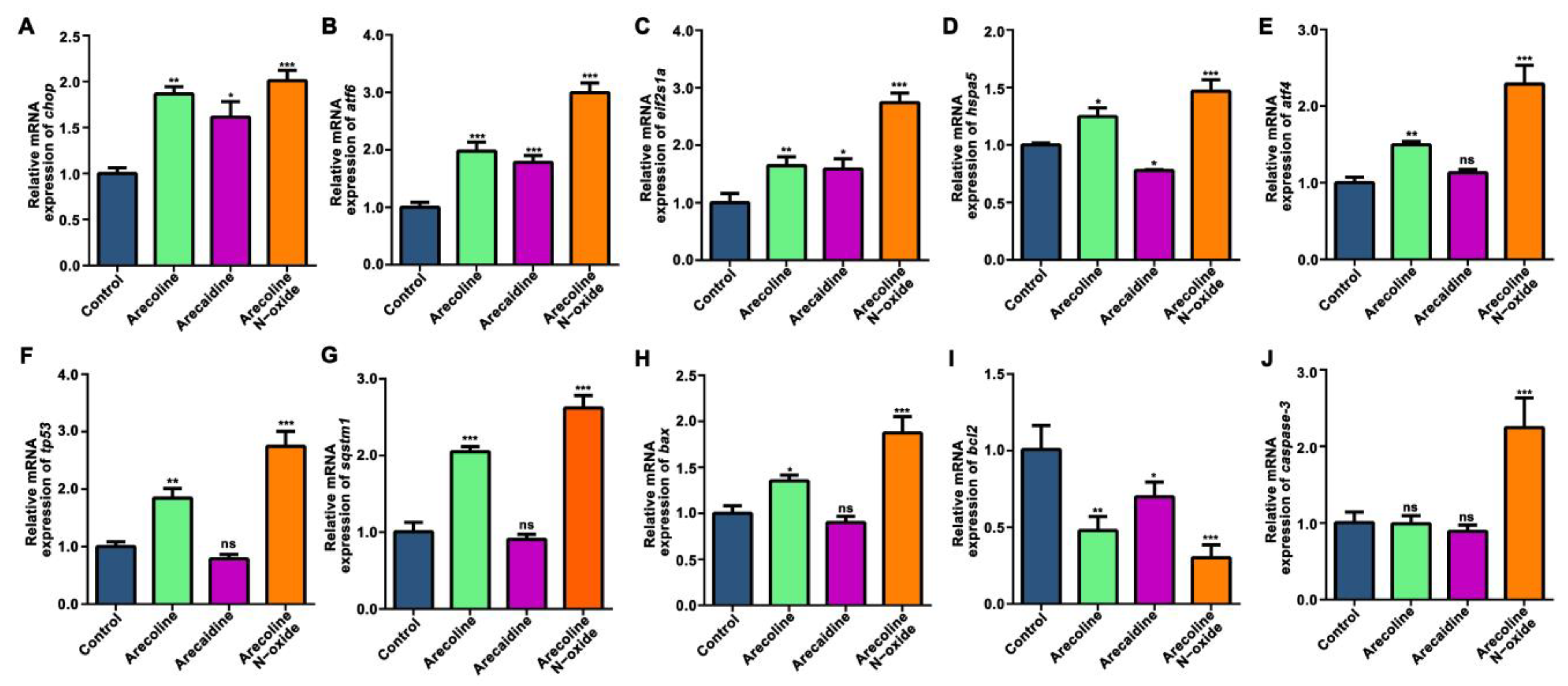 Ijms 24 06327 g007 Ijms 24 06327 g007