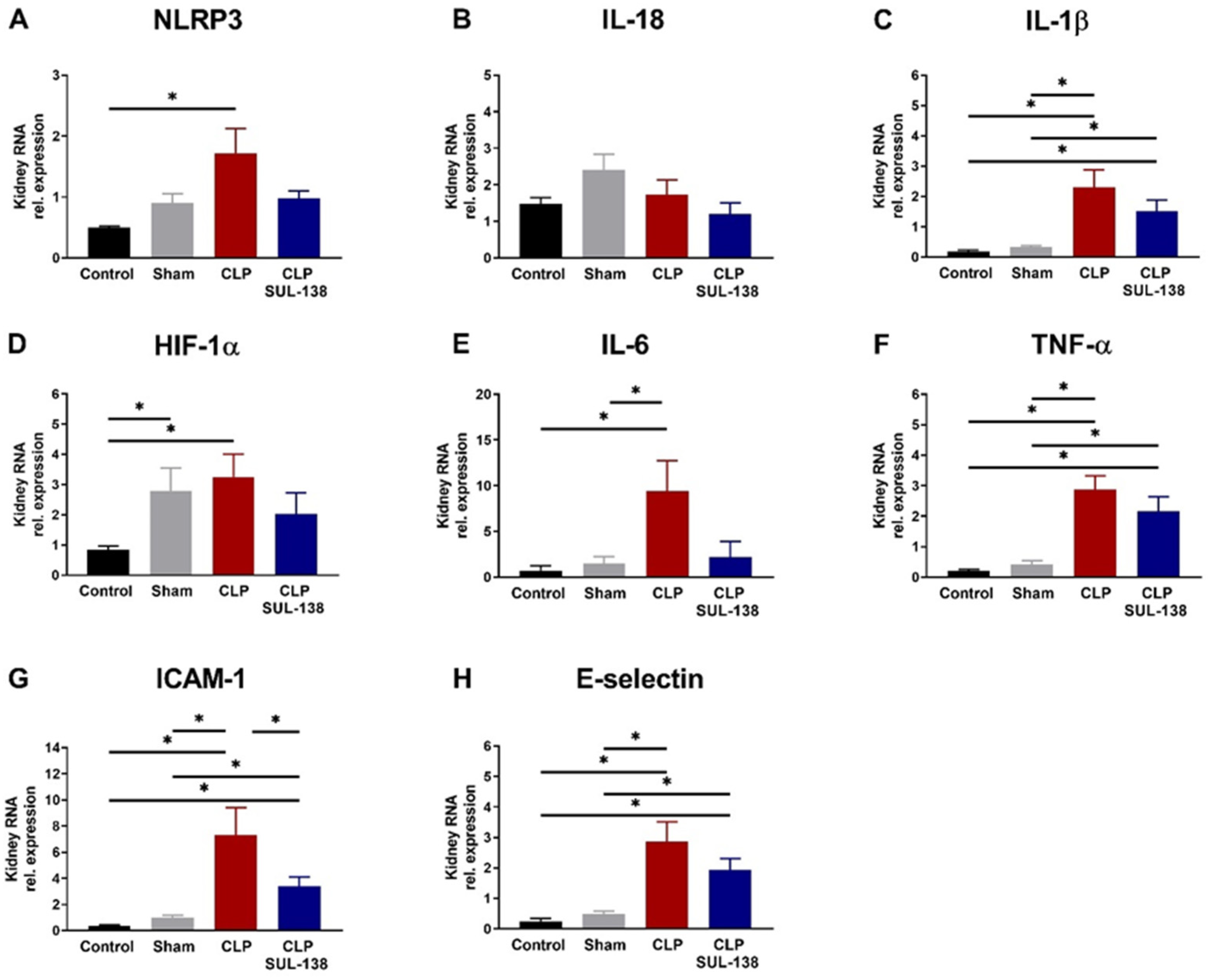 Ijms 24 06330 g004 Ijms 24 06330 g004