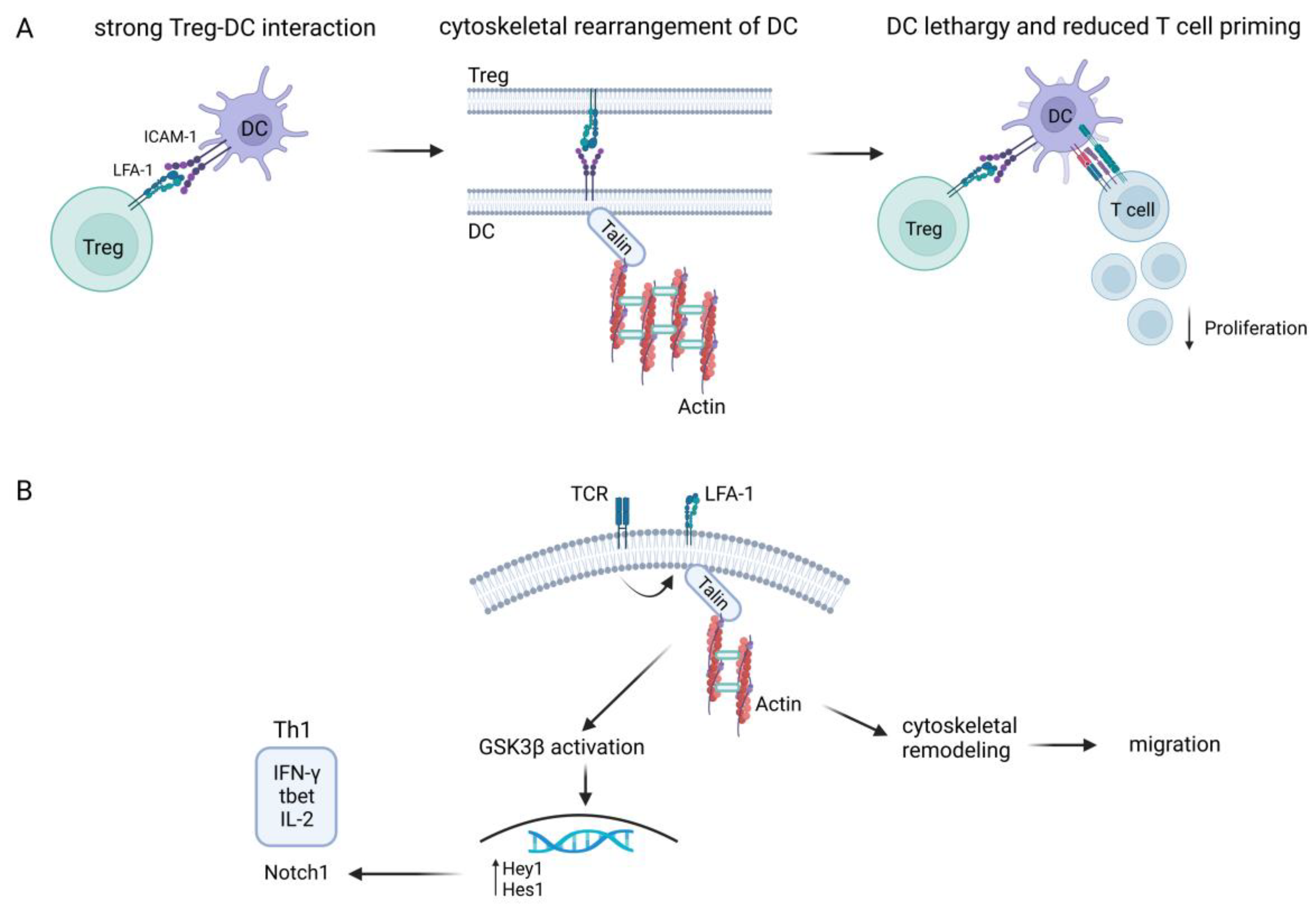 Ijms 24 06331 g001 Ijms 24 06331 g001
