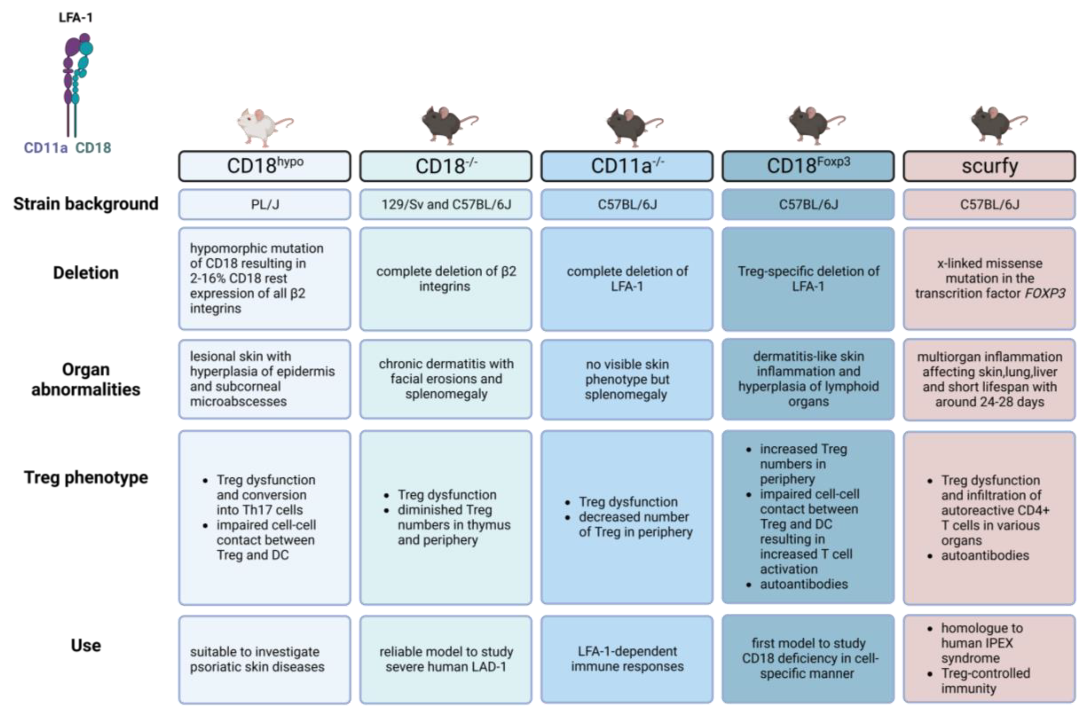 Ijms 24 06331 g002 Ijms 24 06331 g002