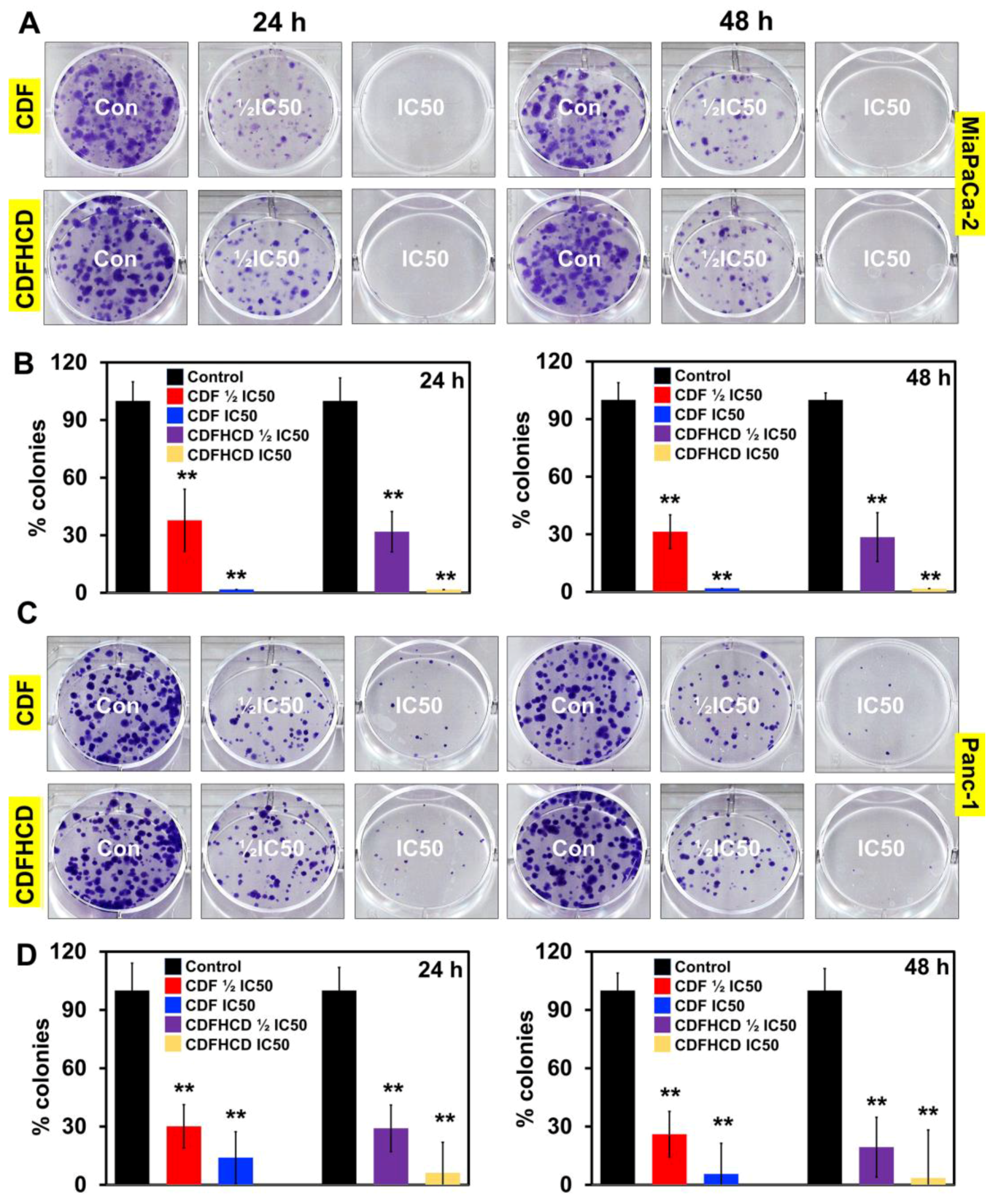 Ijms 24 06336 g004 Ijms 24 06336 g004