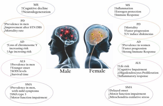 Sex and Gender Differences in Neurodegenerative Diseases: Challenges ...