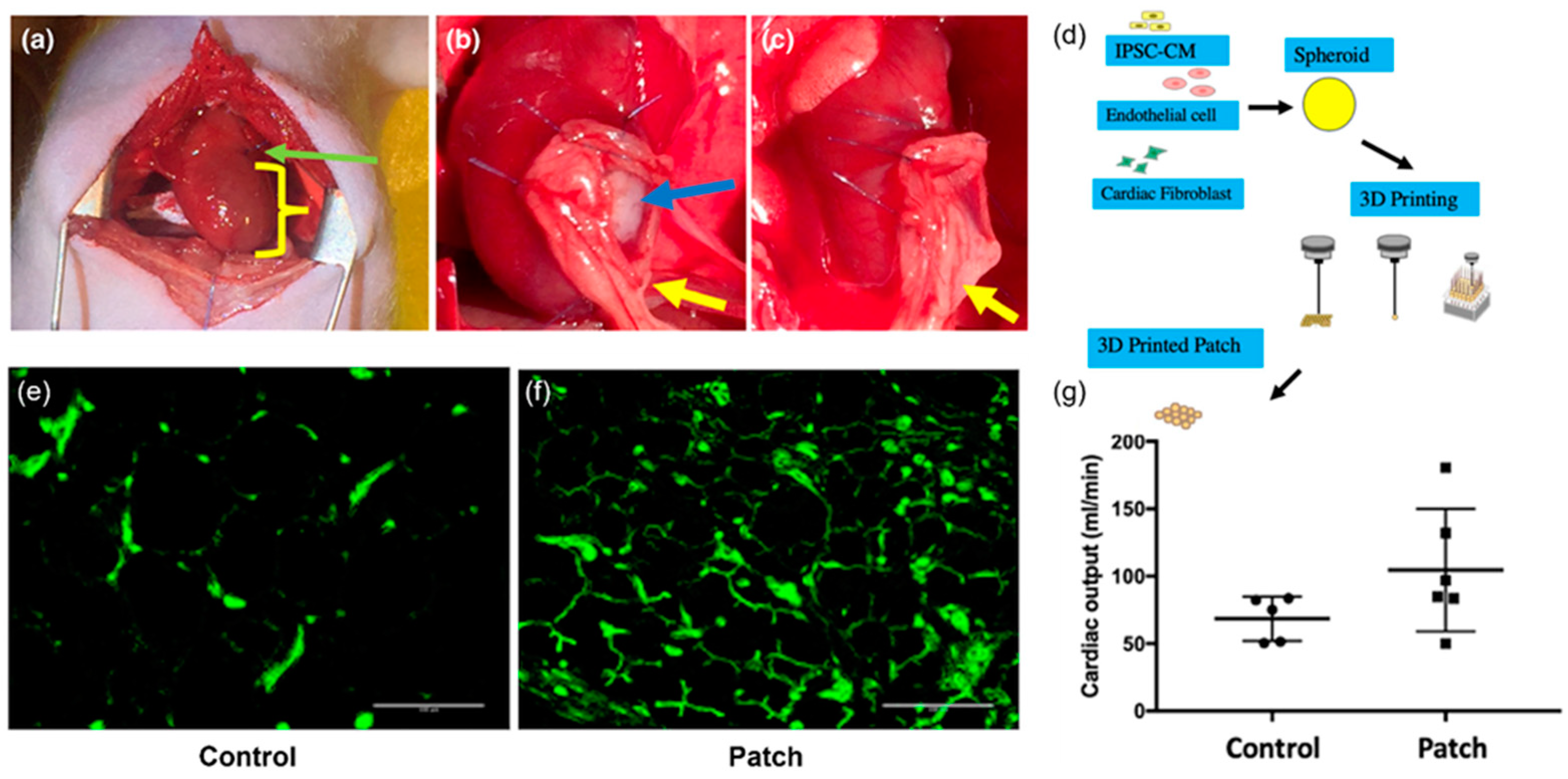 Ijms 24 06357 g005 Ijms 24 06357 g005