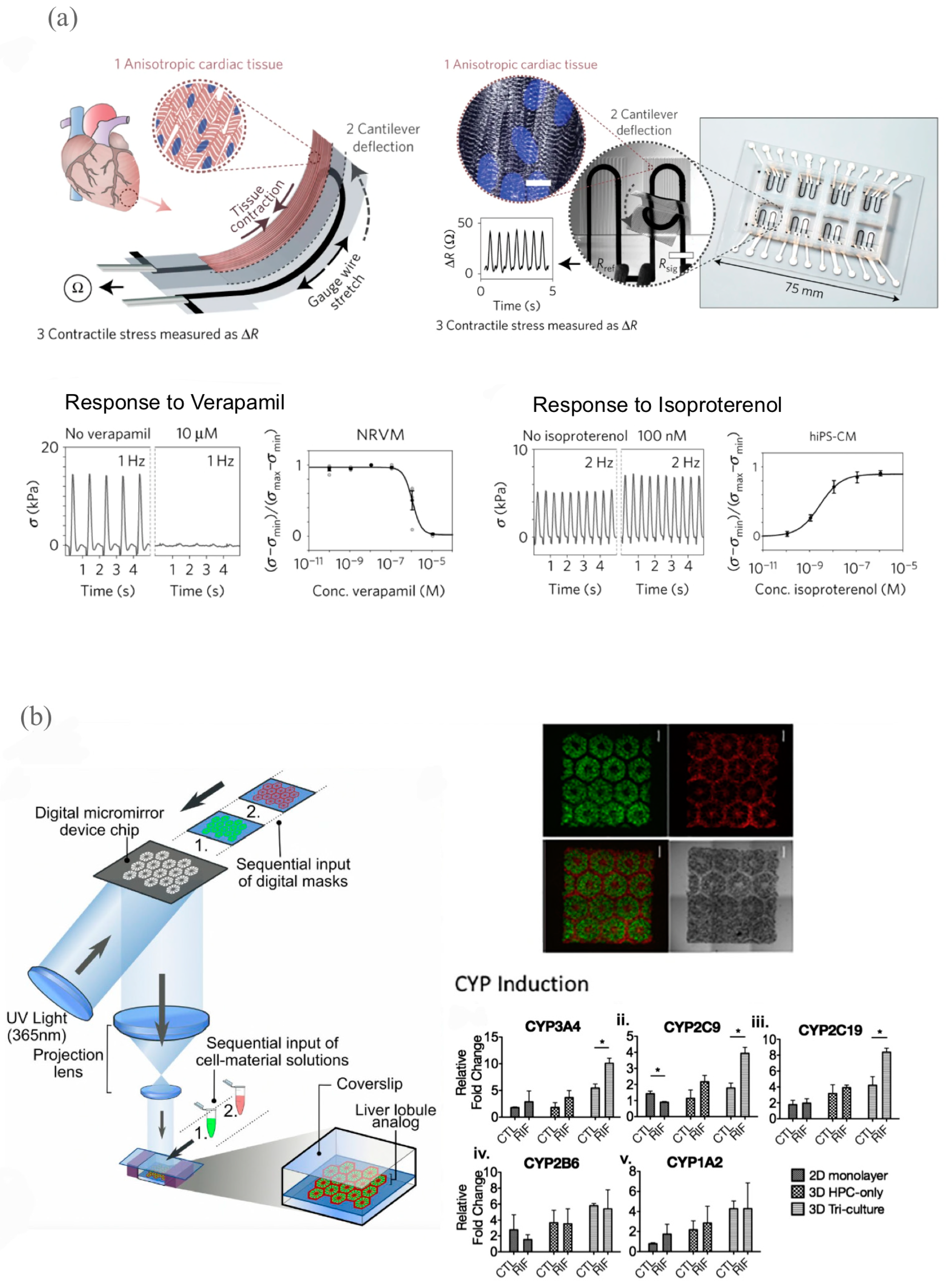 Ijms 24 06357 g006 Ijms 24 06357 g006