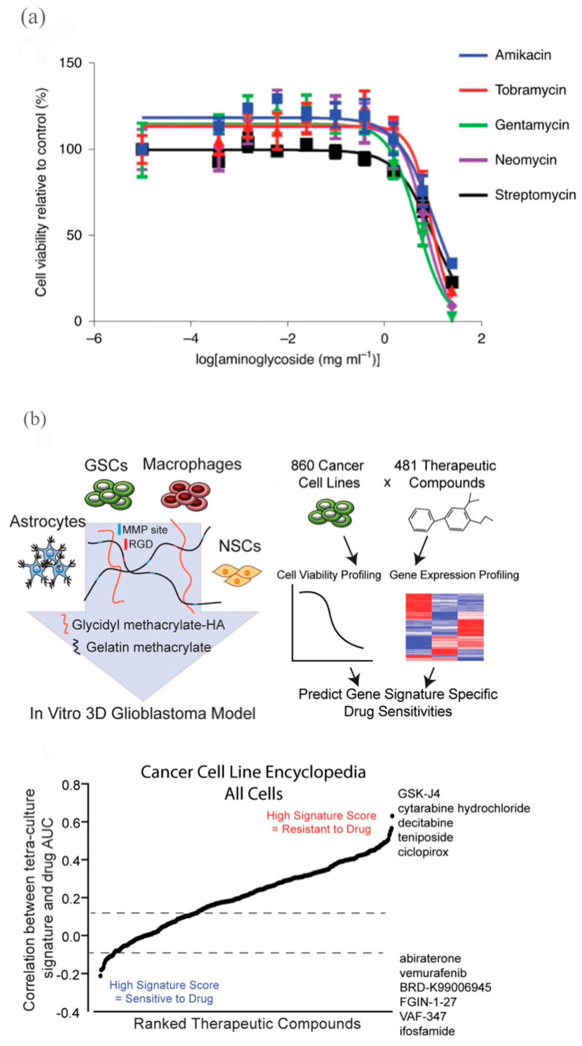 Ijms 24 06357 g007 Ijms 24 06357 g007