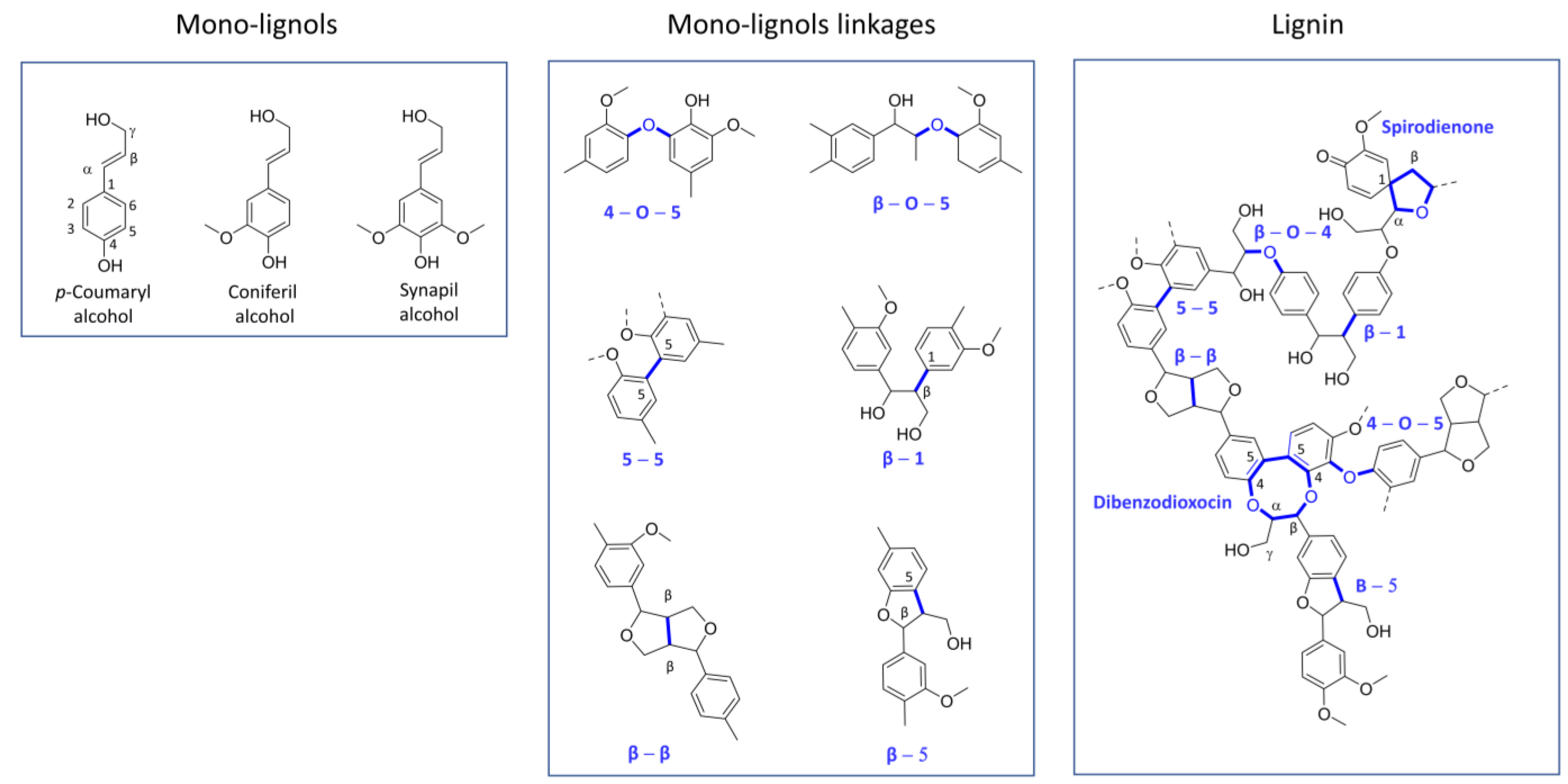 Ijms 24 06368 g002 Ijms 24 06368 g002