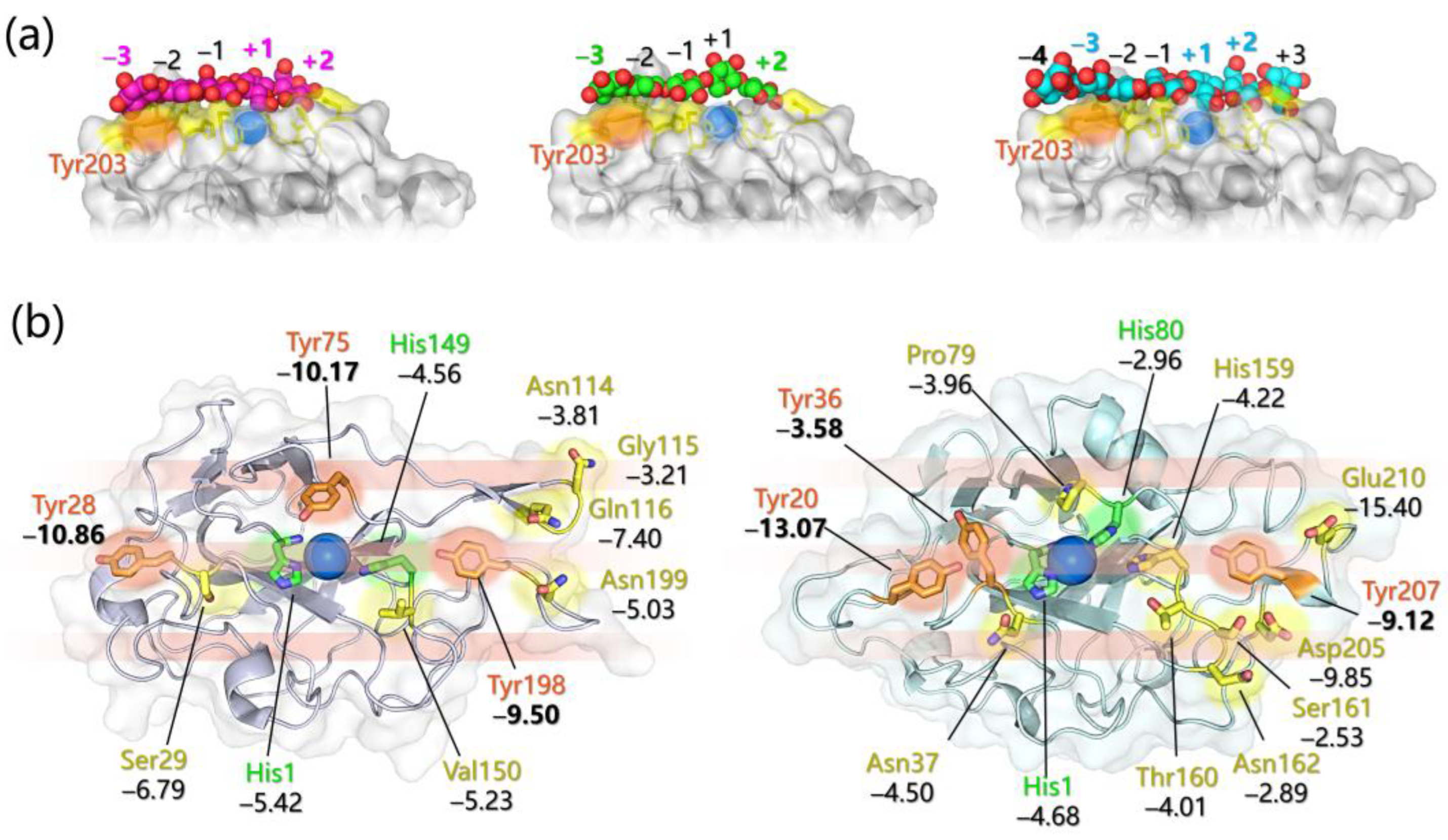Ijms 24 06368 g004 Ijms 24 06368 g004