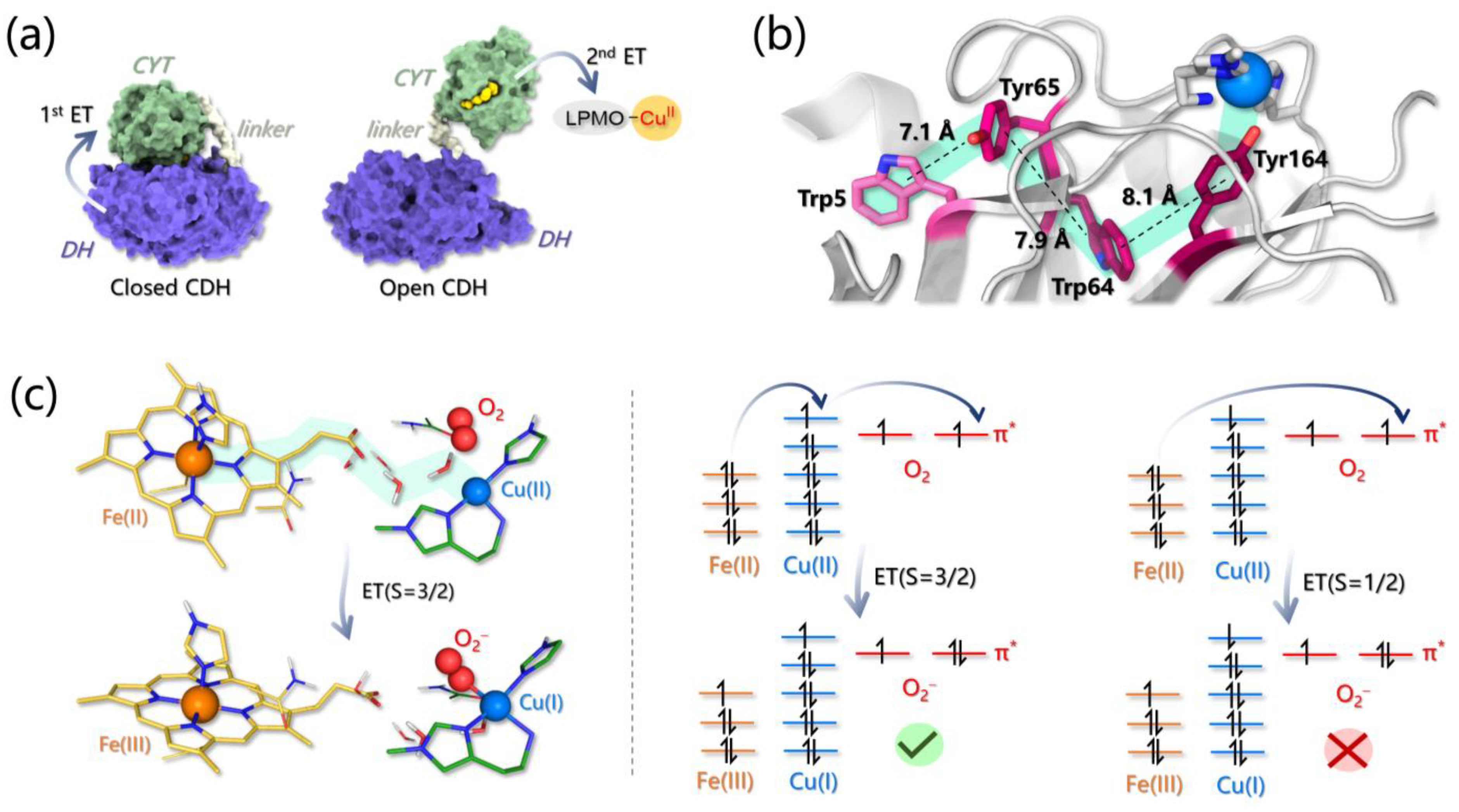 Ijms 24 06368 g005 Ijms 24 06368 g005