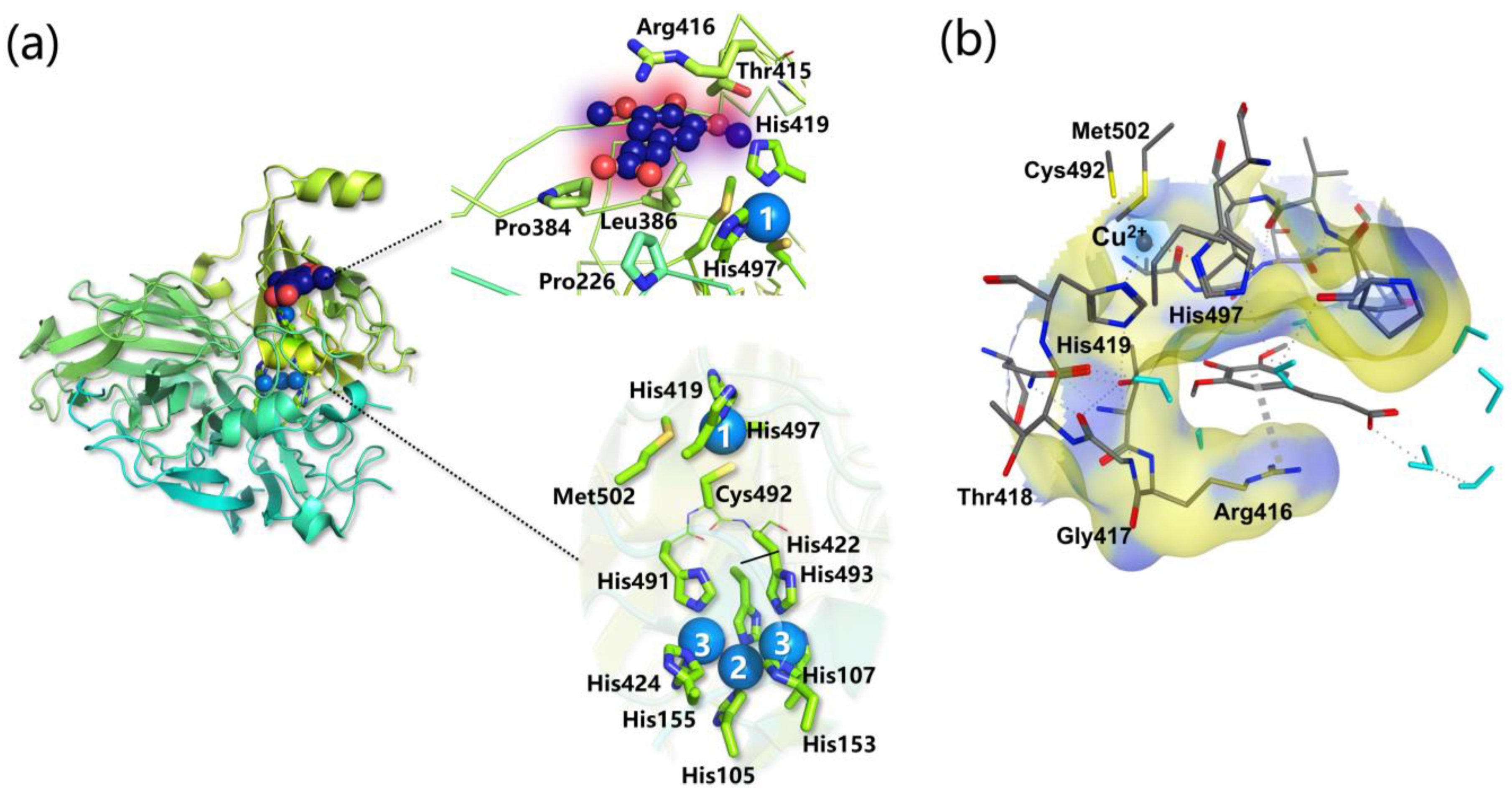 Ijms 24 06368 g006 Ijms 24 06368 g006