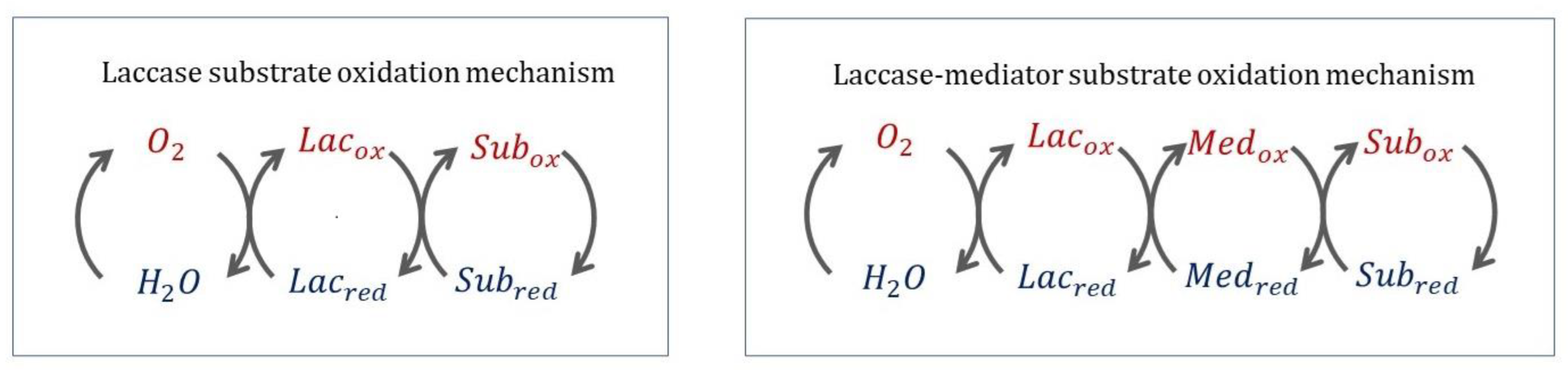 Ijms 24 06368 g008 Ijms 24 06368 g008