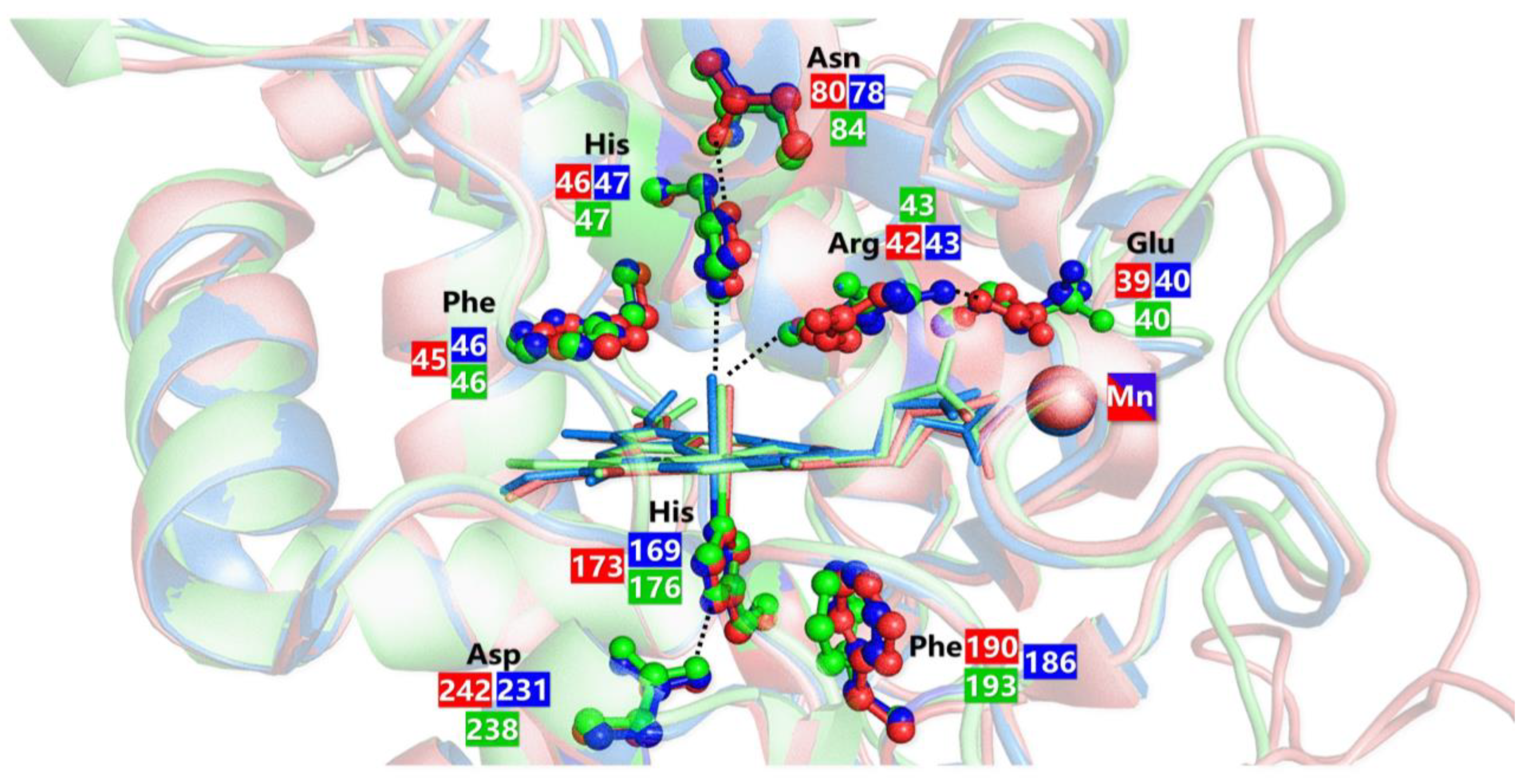 Ijms 24 06368 g010 Ijms 24 06368 g010