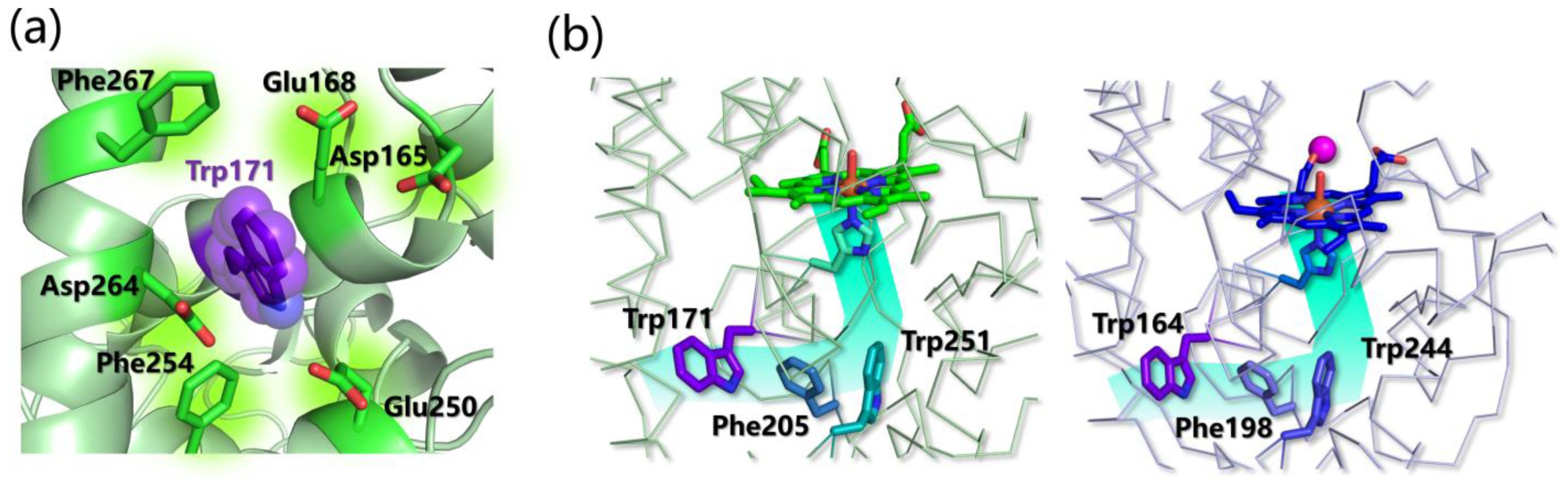 Ijms 24 06368 g011 Ijms 24 06368 g011