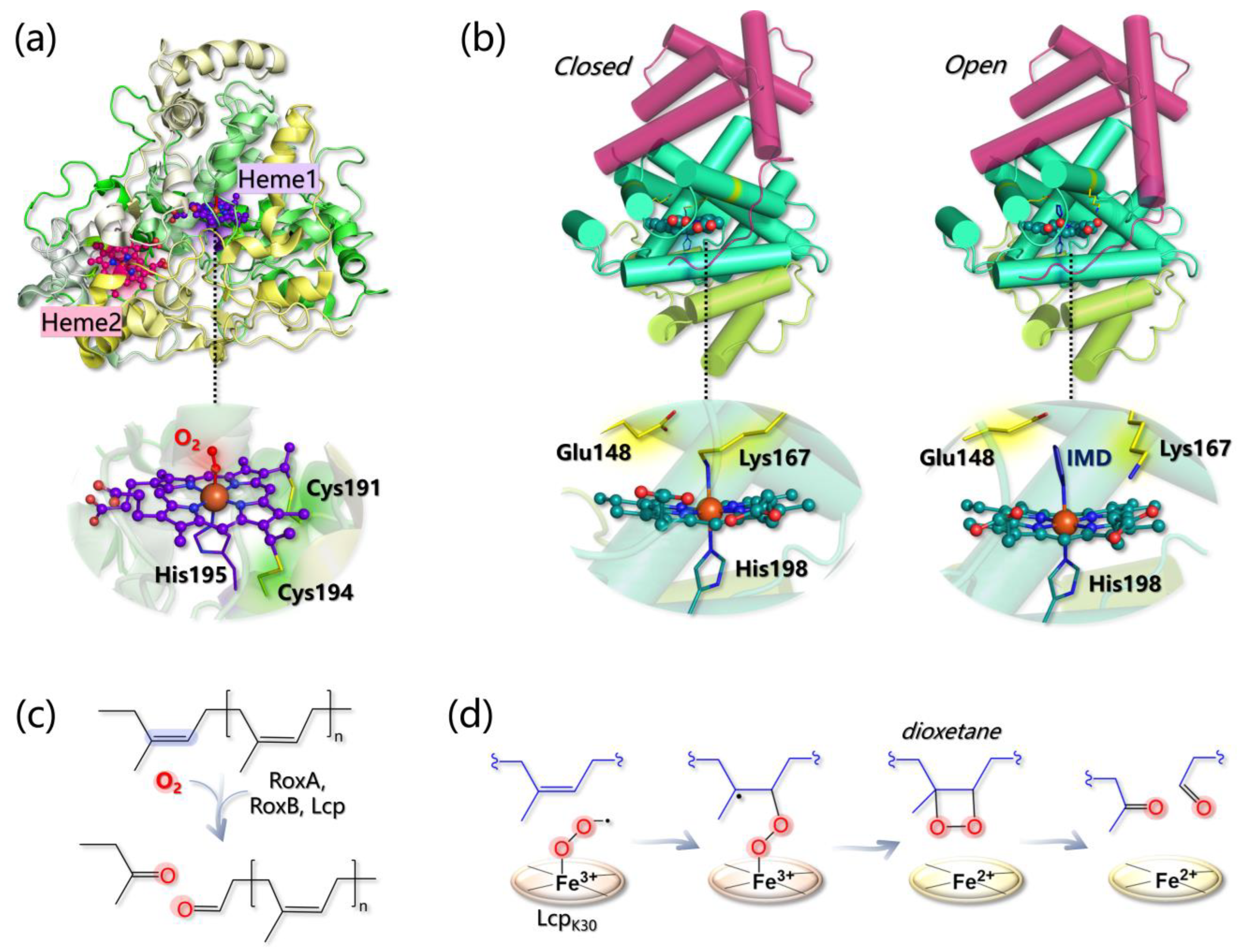 Ijms 24 06368 g012 Ijms 24 06368 g012