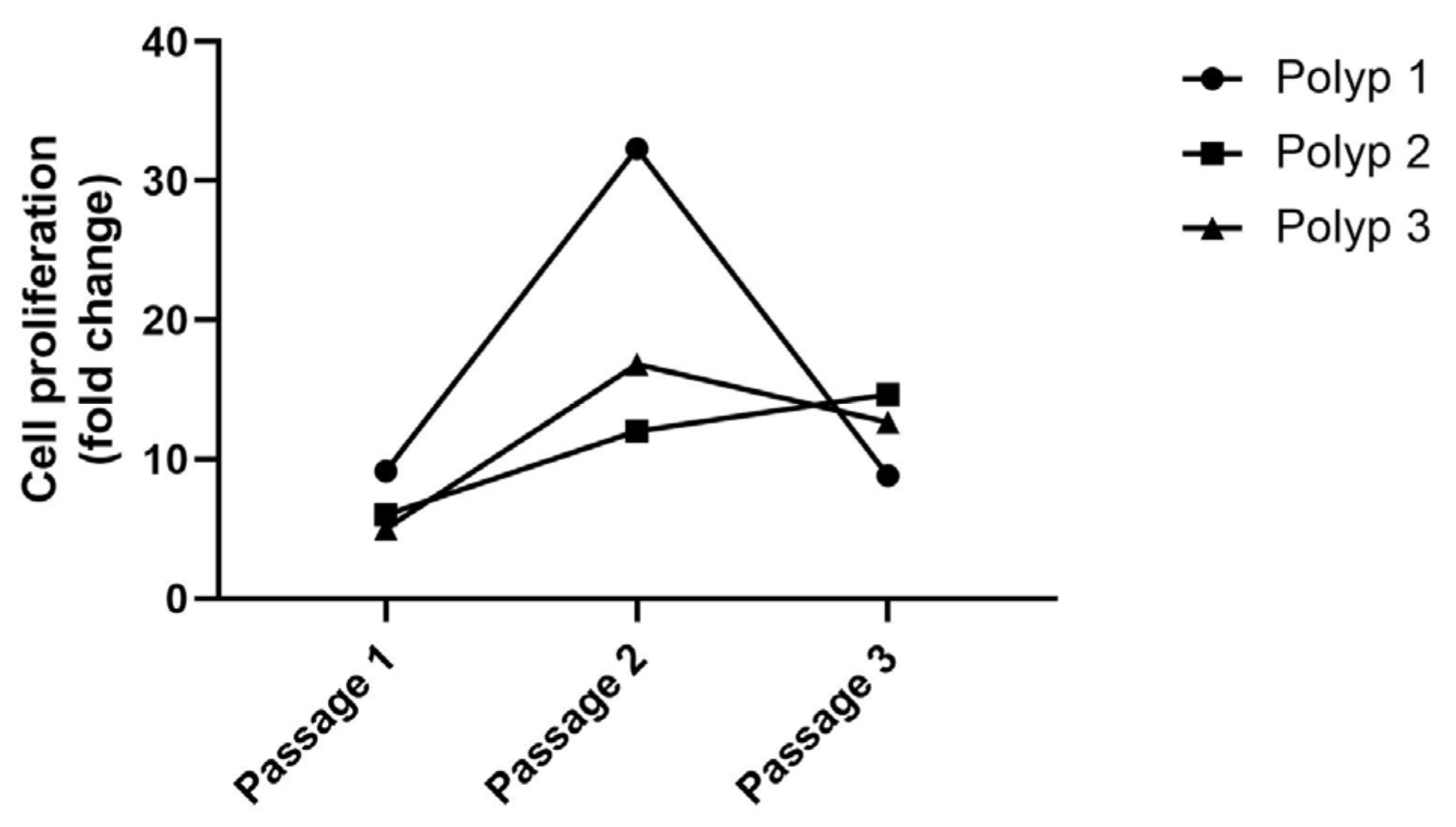 Ijms 24 06383 g002 Ijms 24 06383 g002