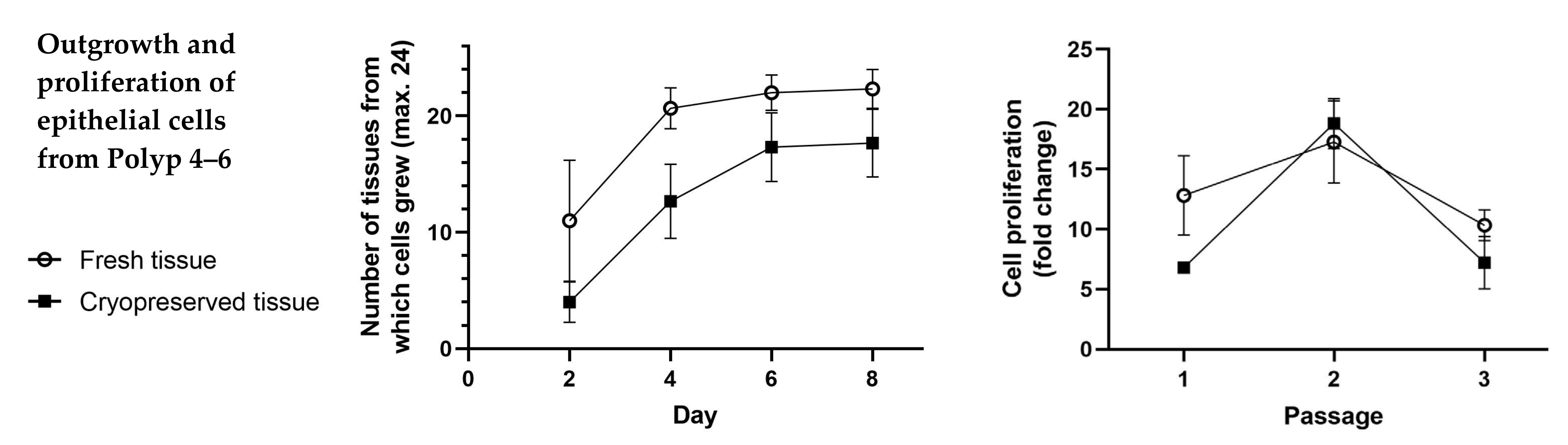 Ijms 24 06383 g004 Ijms 24 06383 g004