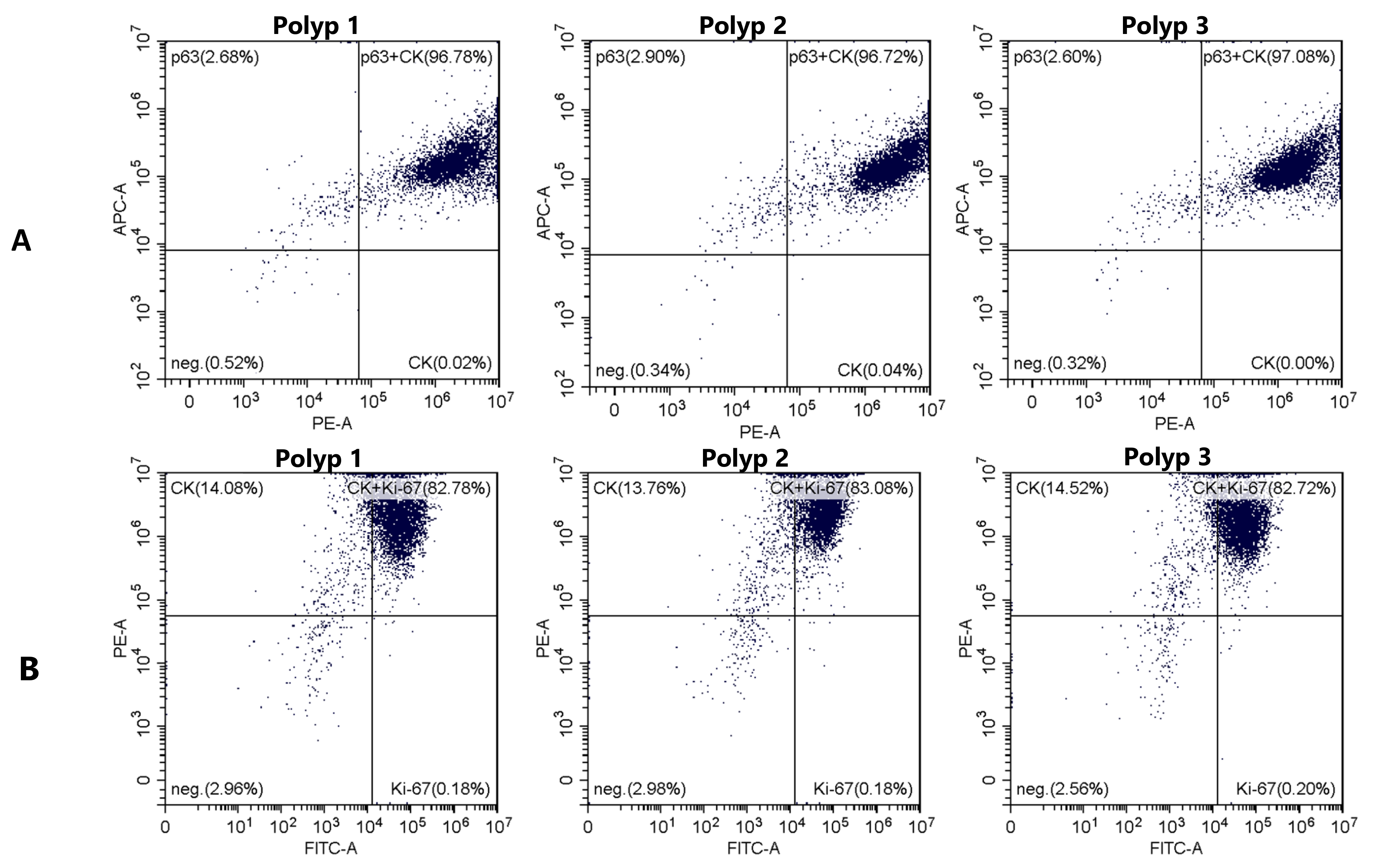 Ijms 24 06383 g005 Ijms 24 06383 g005