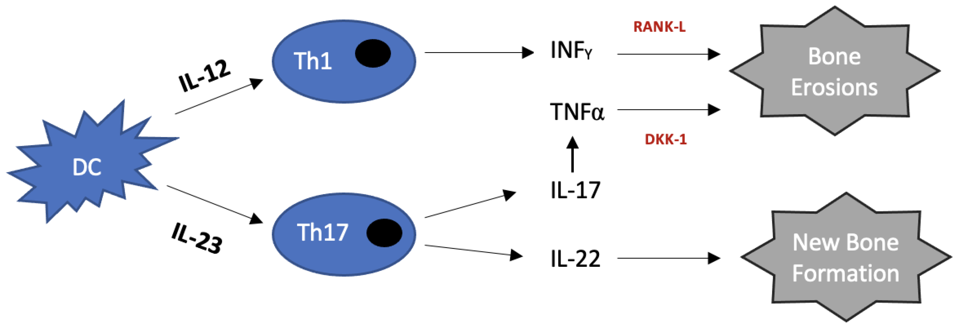 Ijms 24 06384 g001 Ijms 24 06384 g001