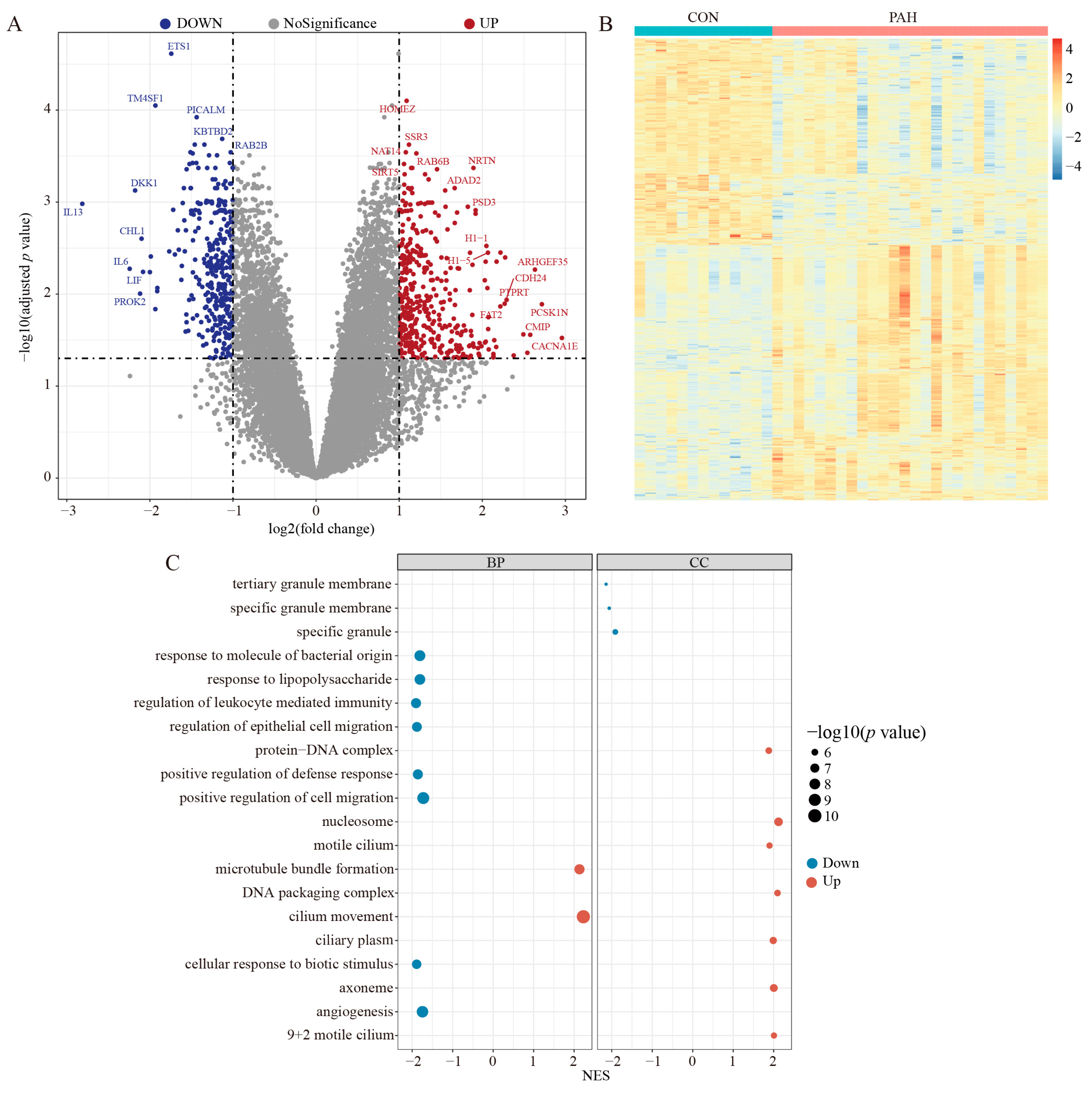 Ijms 24 06385 g001 Ijms 24 06385 g001