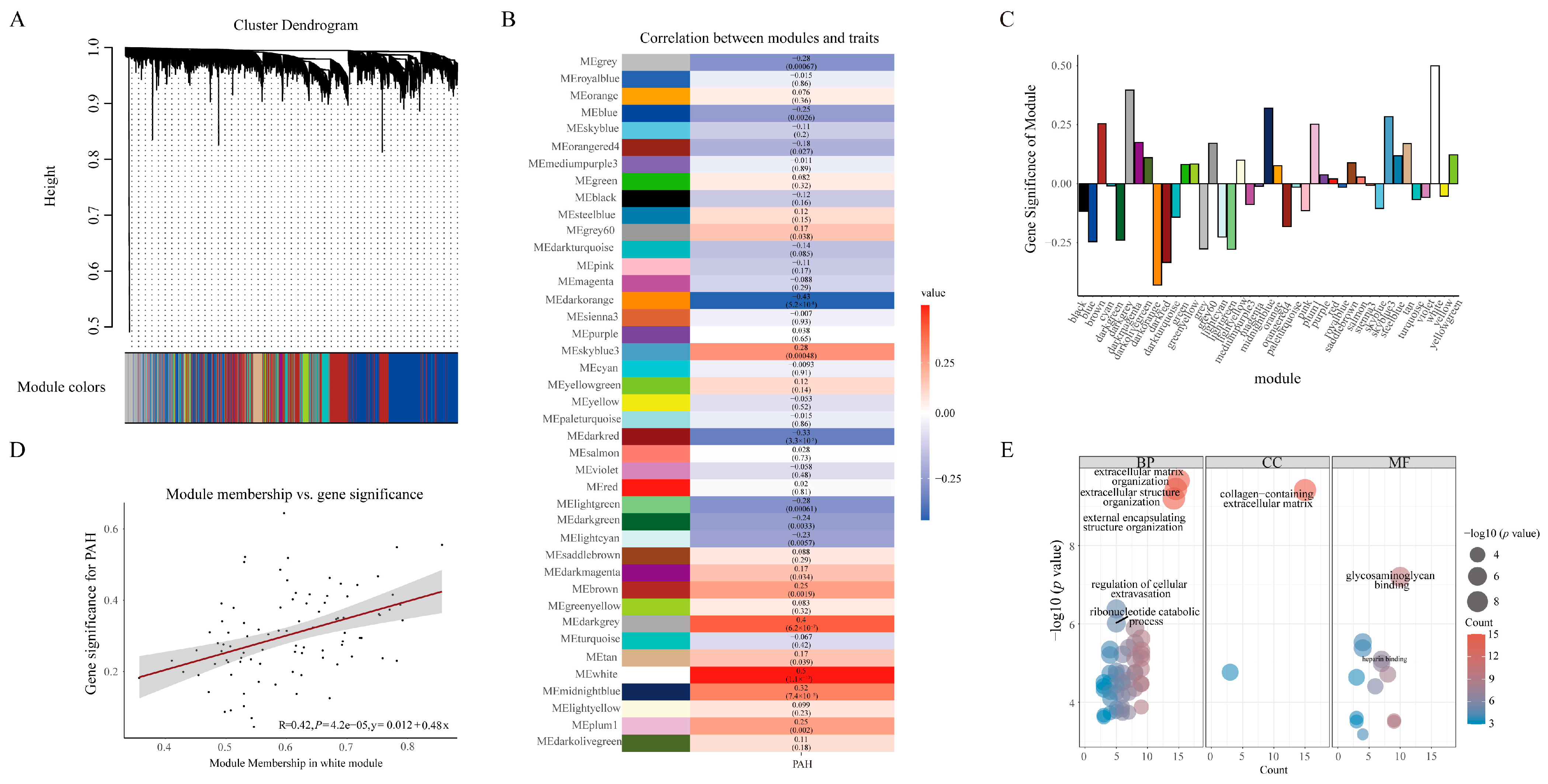 Ijms 24 06385 g002 Ijms 24 06385 g002