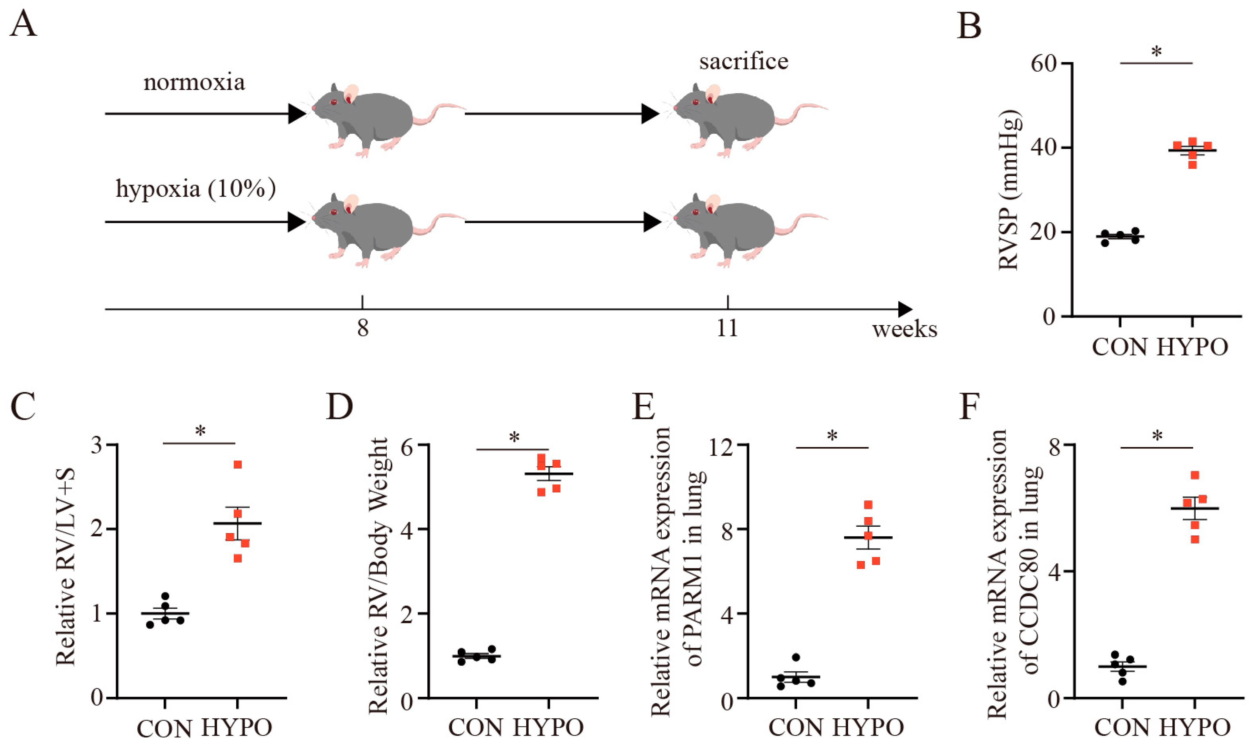 Ijms 24 06385 g005 Ijms 24 06385 g005