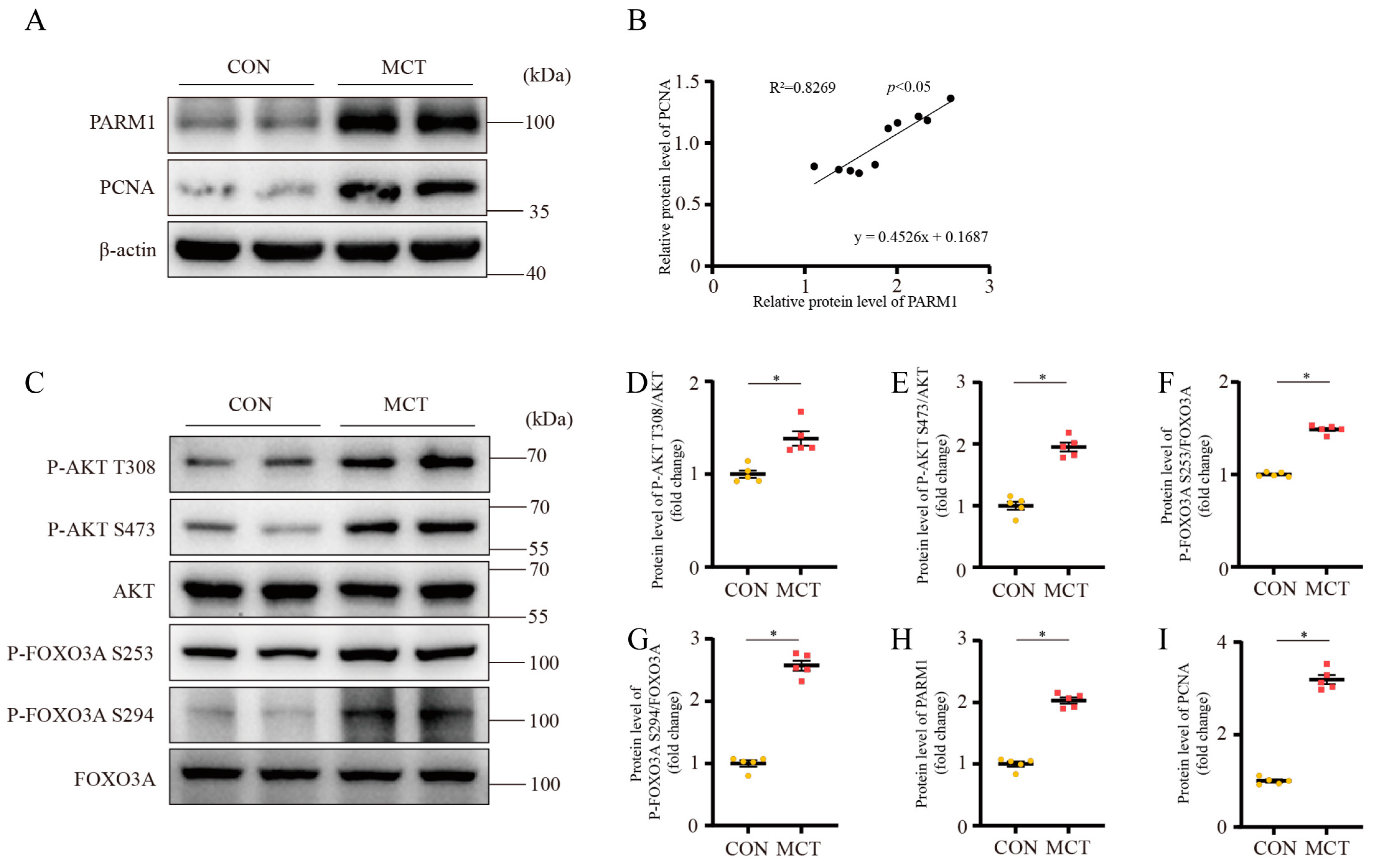 Ijms 24 06385 g006 Ijms 24 06385 g006