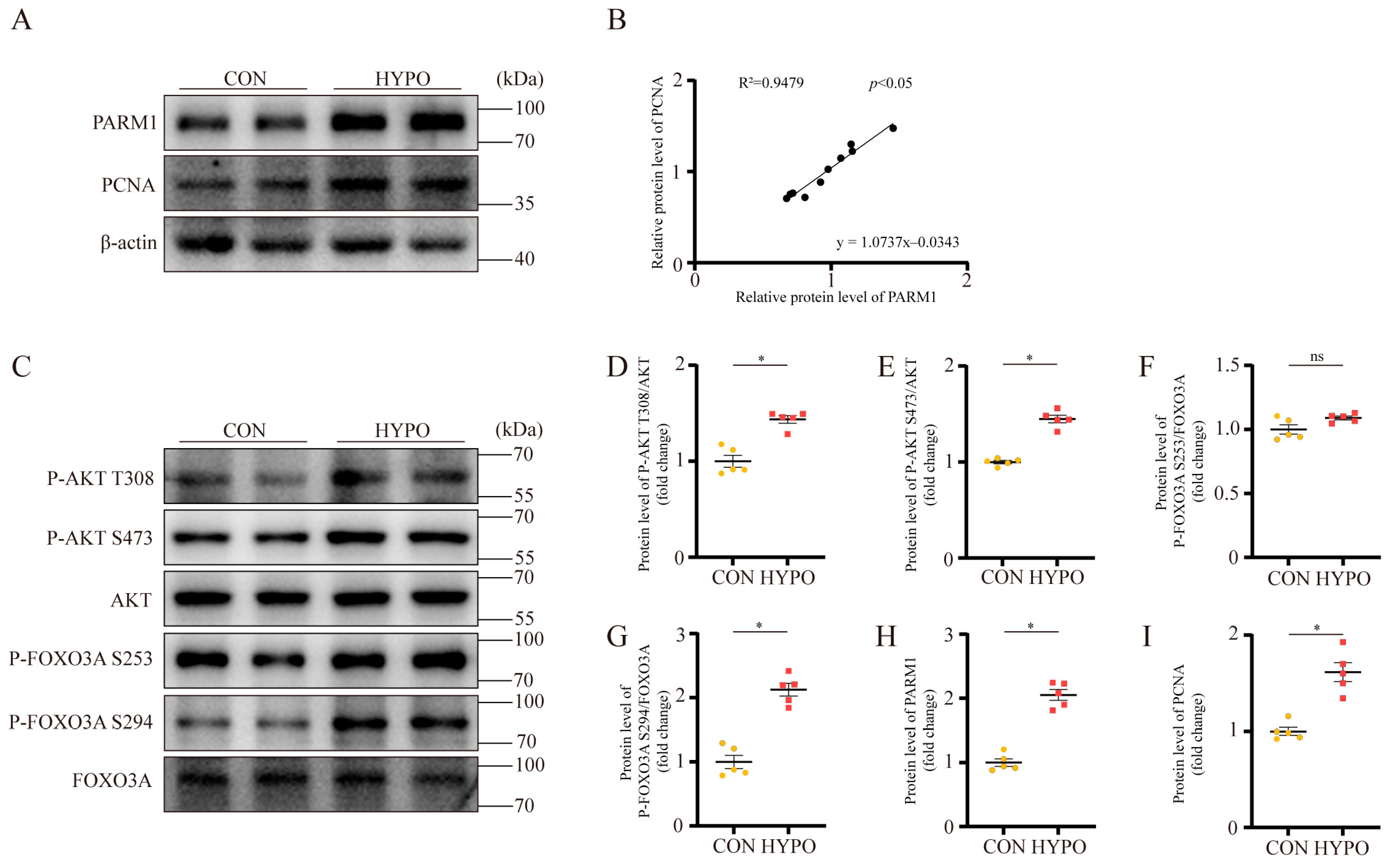 Ijms 24 06385 g007 Ijms 24 06385 g007