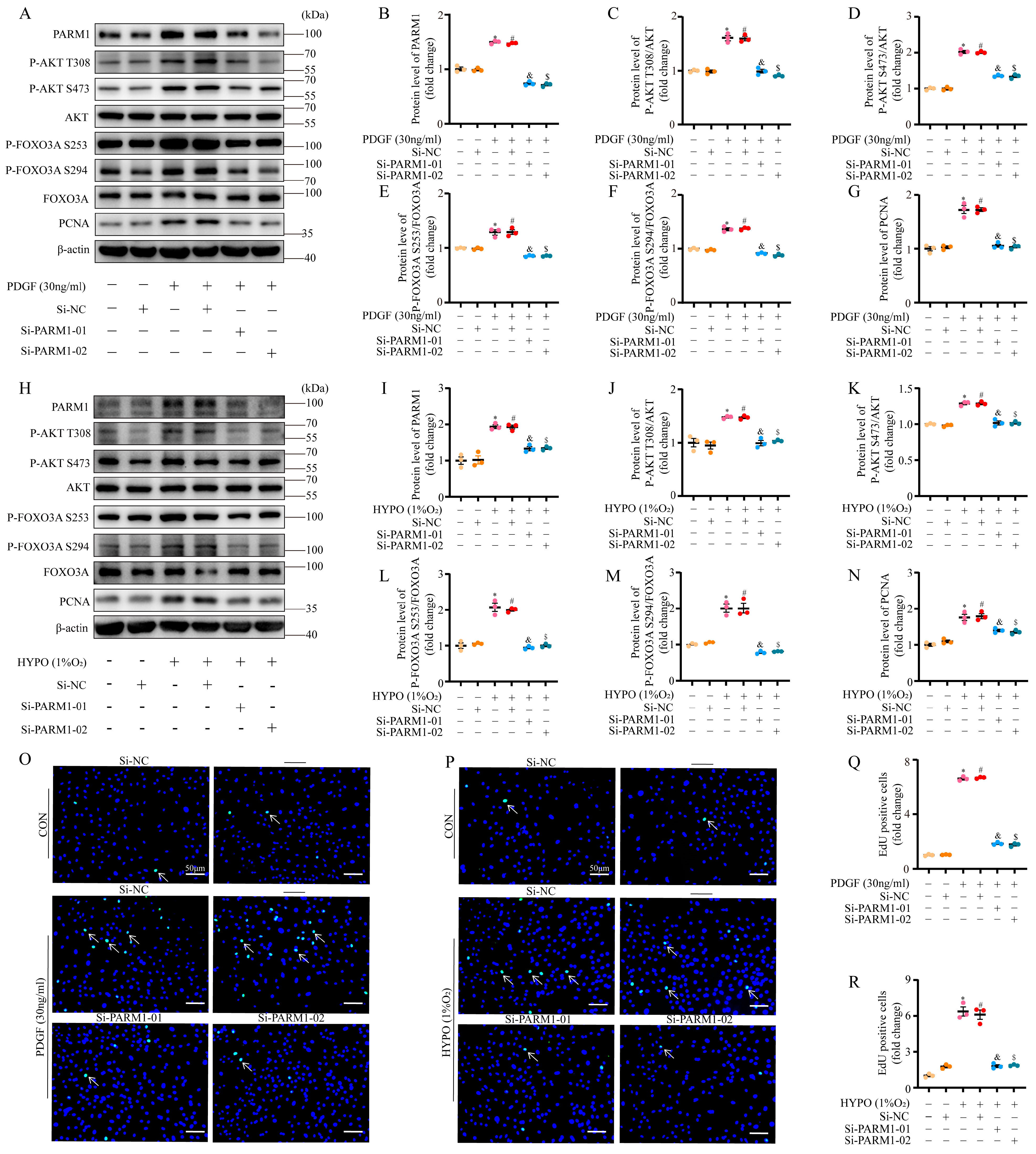Ijms 24 06385 g008 Ijms 24 06385 g008
