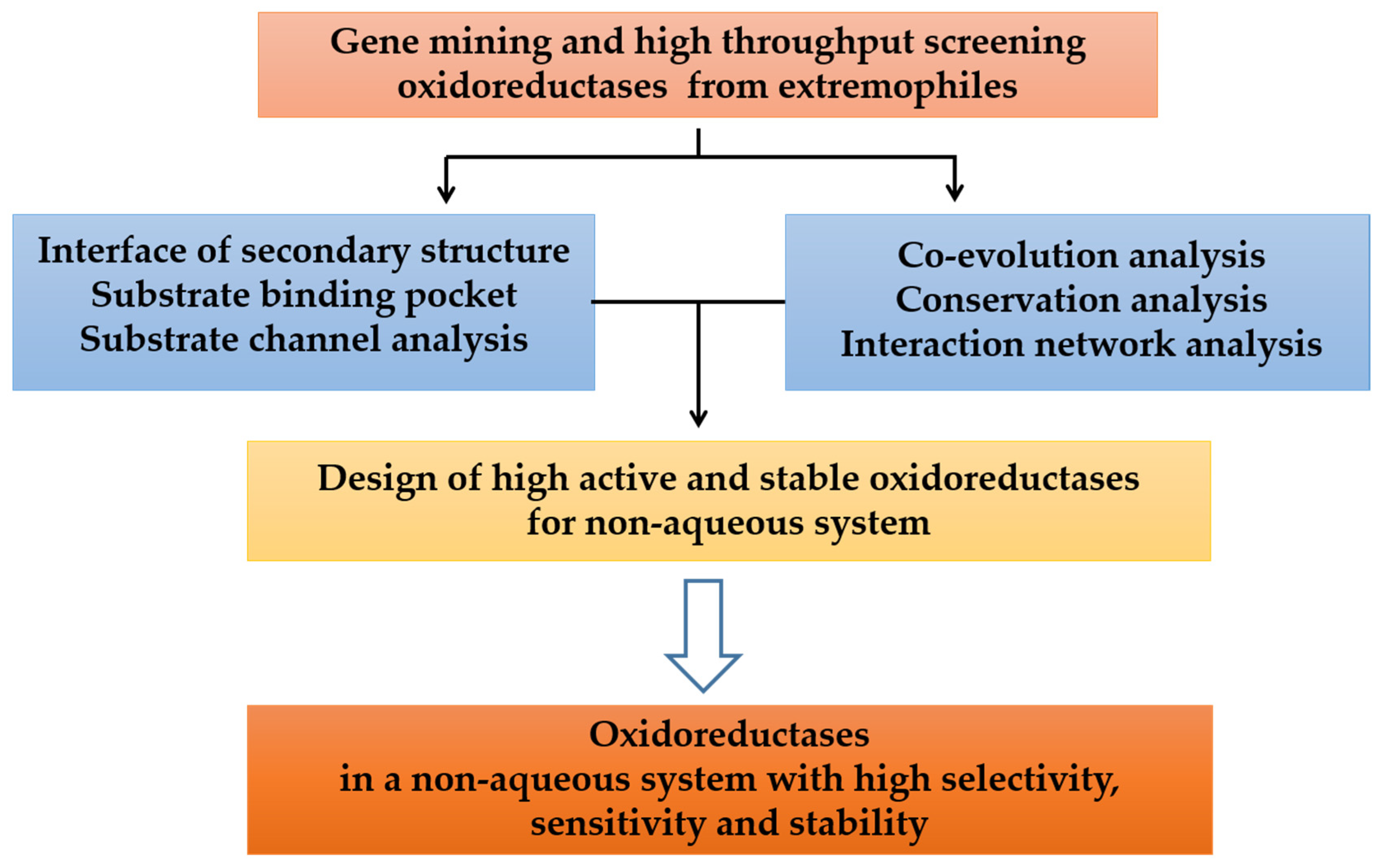 Ijms 24 06396 g001 Ijms 24 06396 g001
