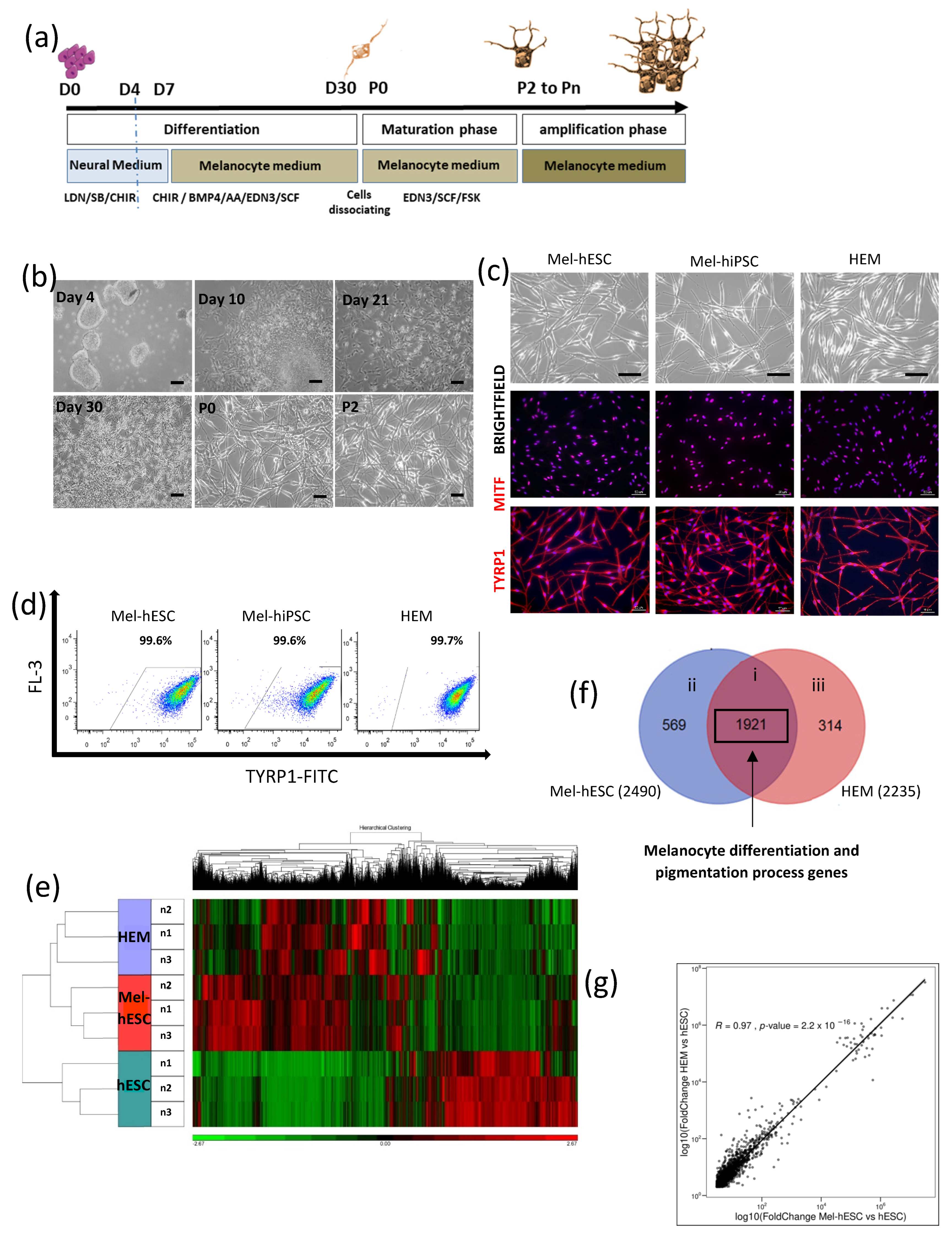 Ijms 24 06398 g001 Ijms 24 06398 g001
