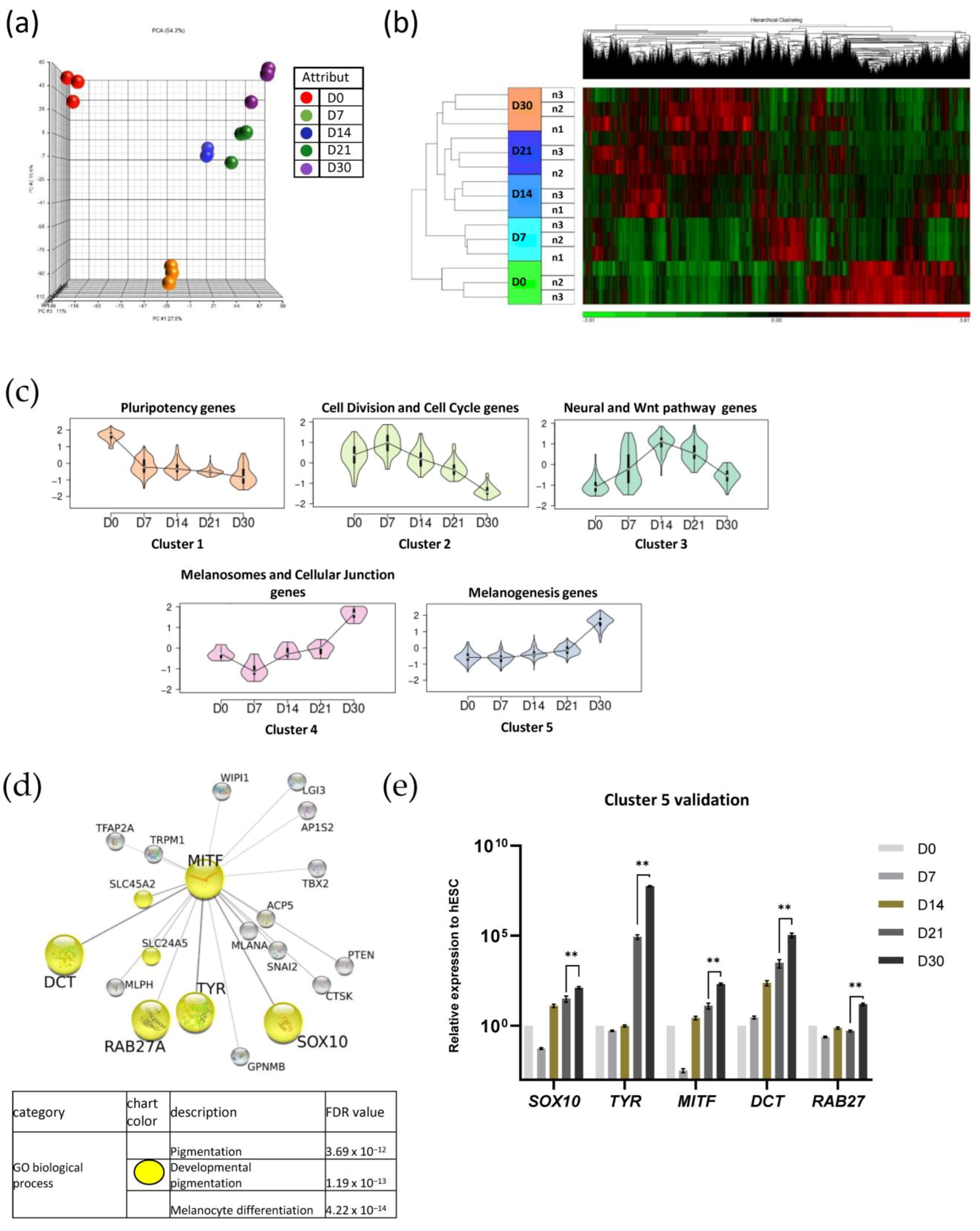 Ijms 24 06398 g004 Ijms 24 06398 g004