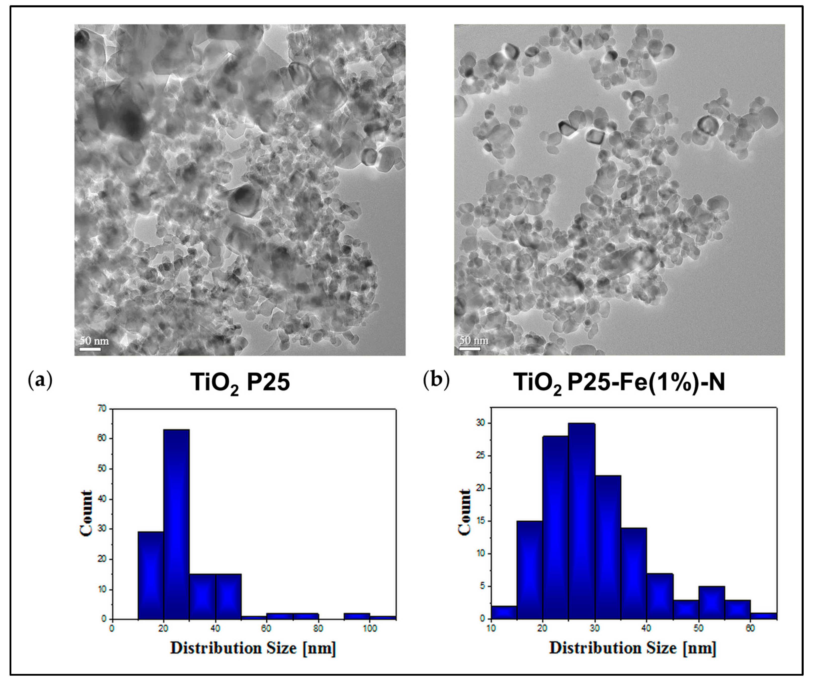 Ijms 24 06401 g002 Ijms 24 06401 g002