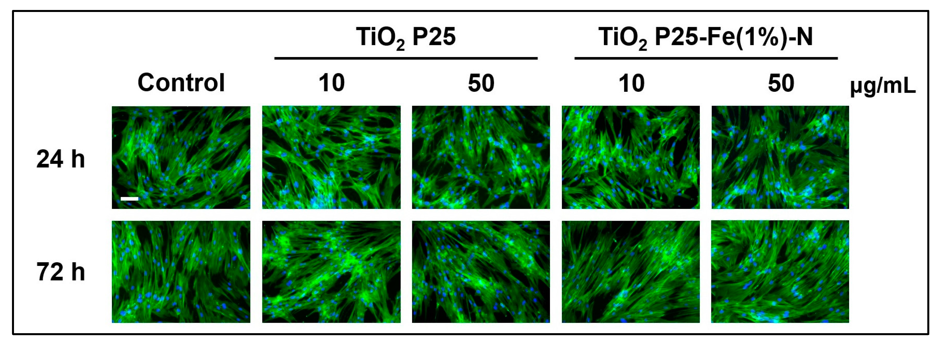 Ijms 24 06401 g004 Ijms 24 06401 g004