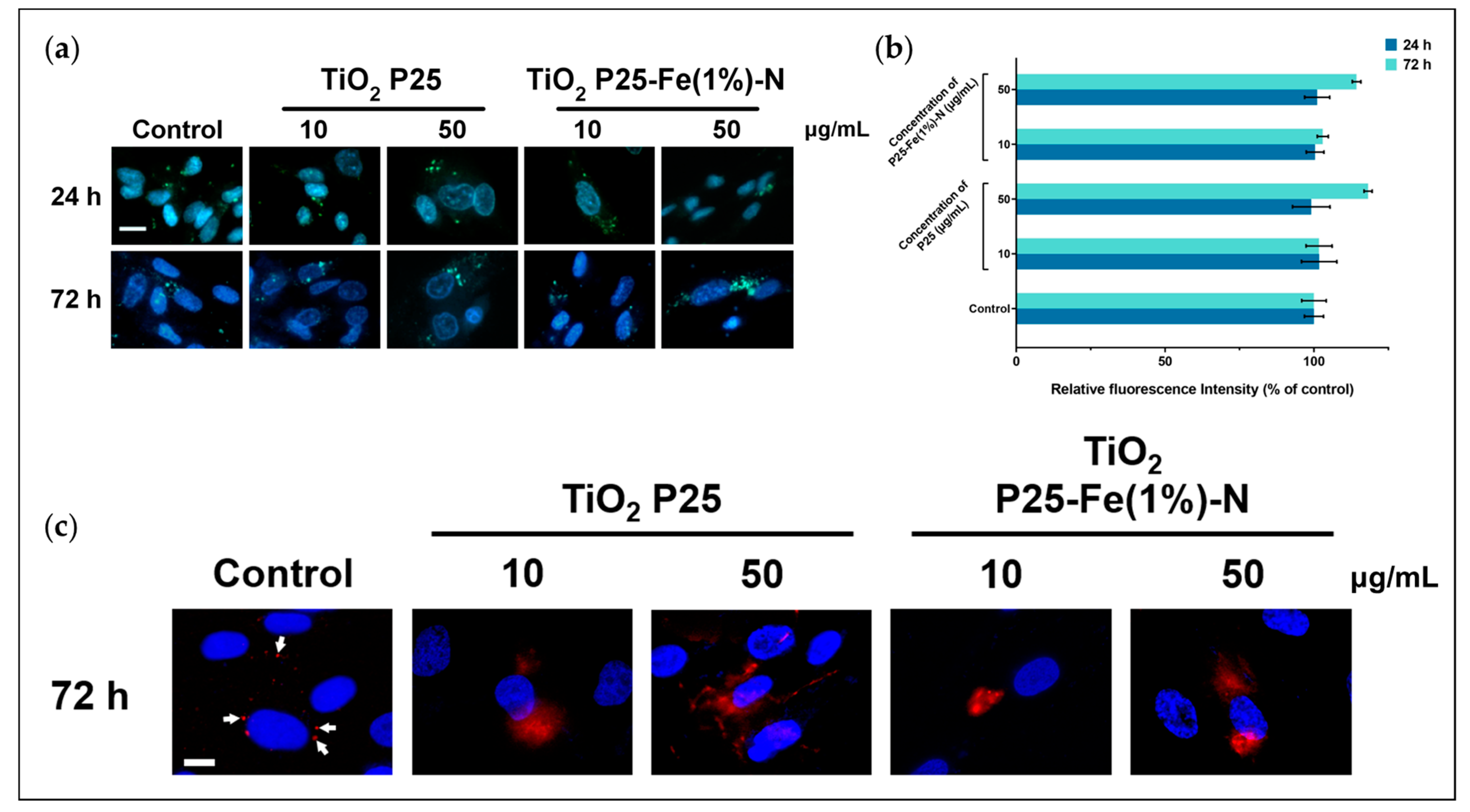 Ijms 24 06401 g005 Ijms 24 06401 g005